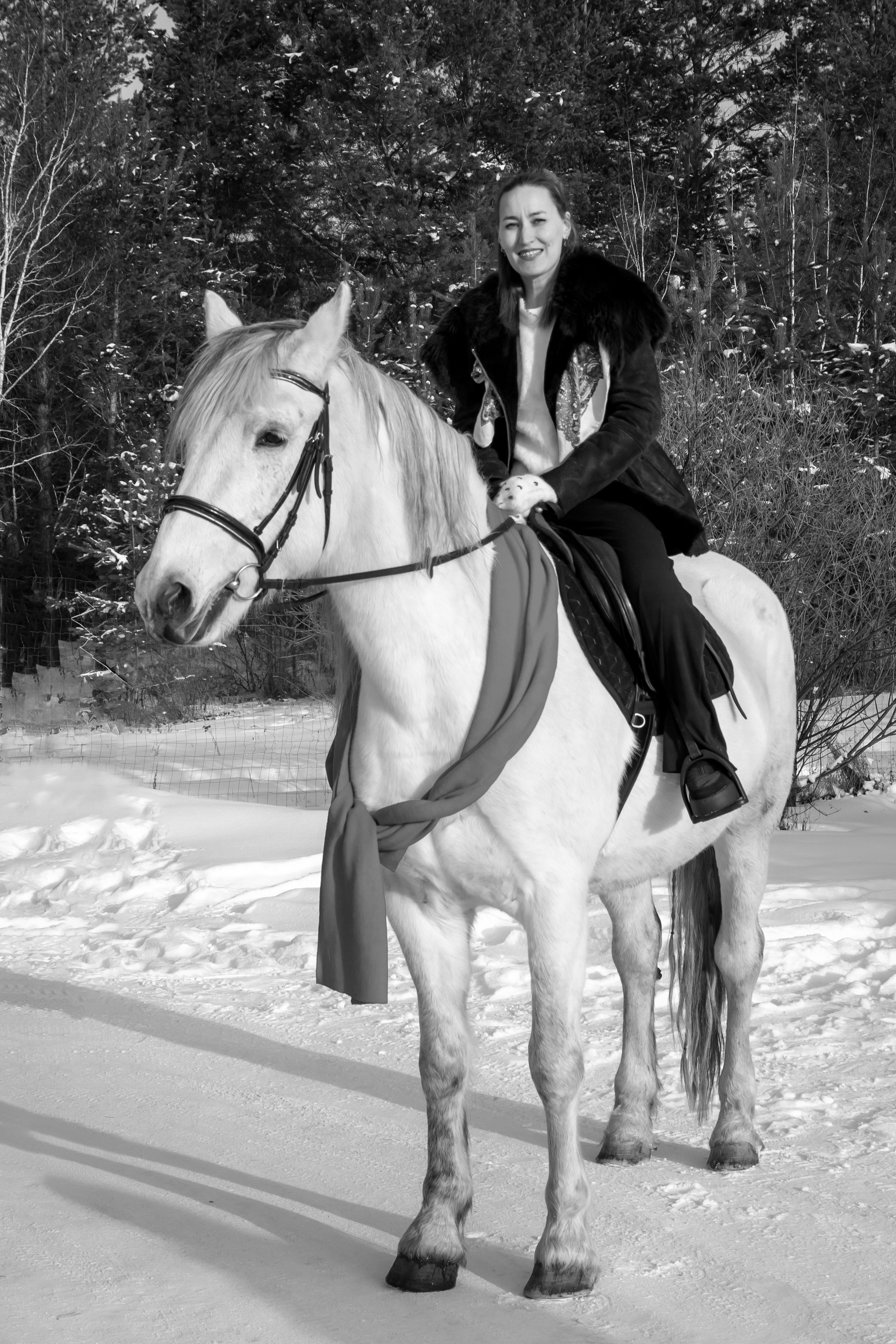 Анастасия с семьей. Участники «Новогоднего фотопроект с лошадью». Фотограф в Шелехове, лучшие выпускные альбомы в Шелехове