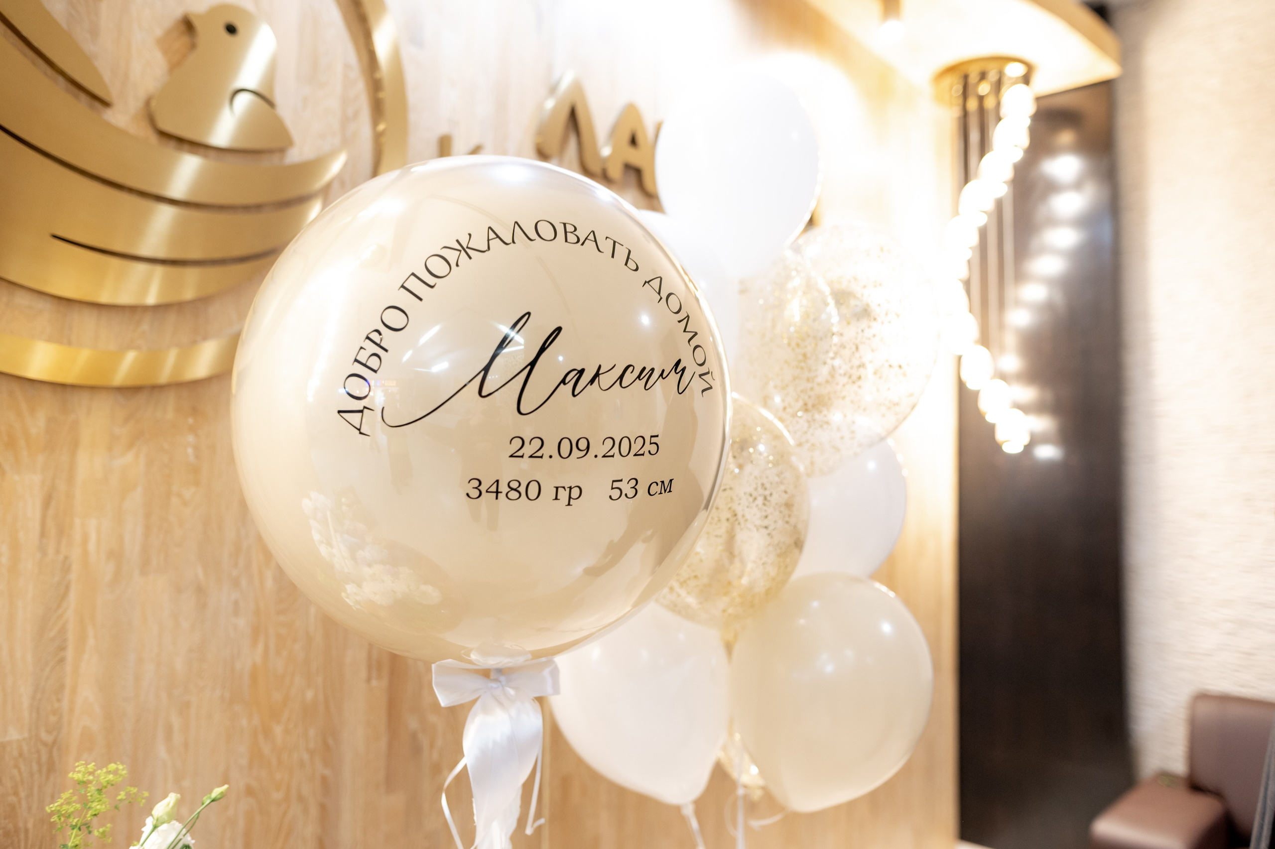 Выписка «Лапино»