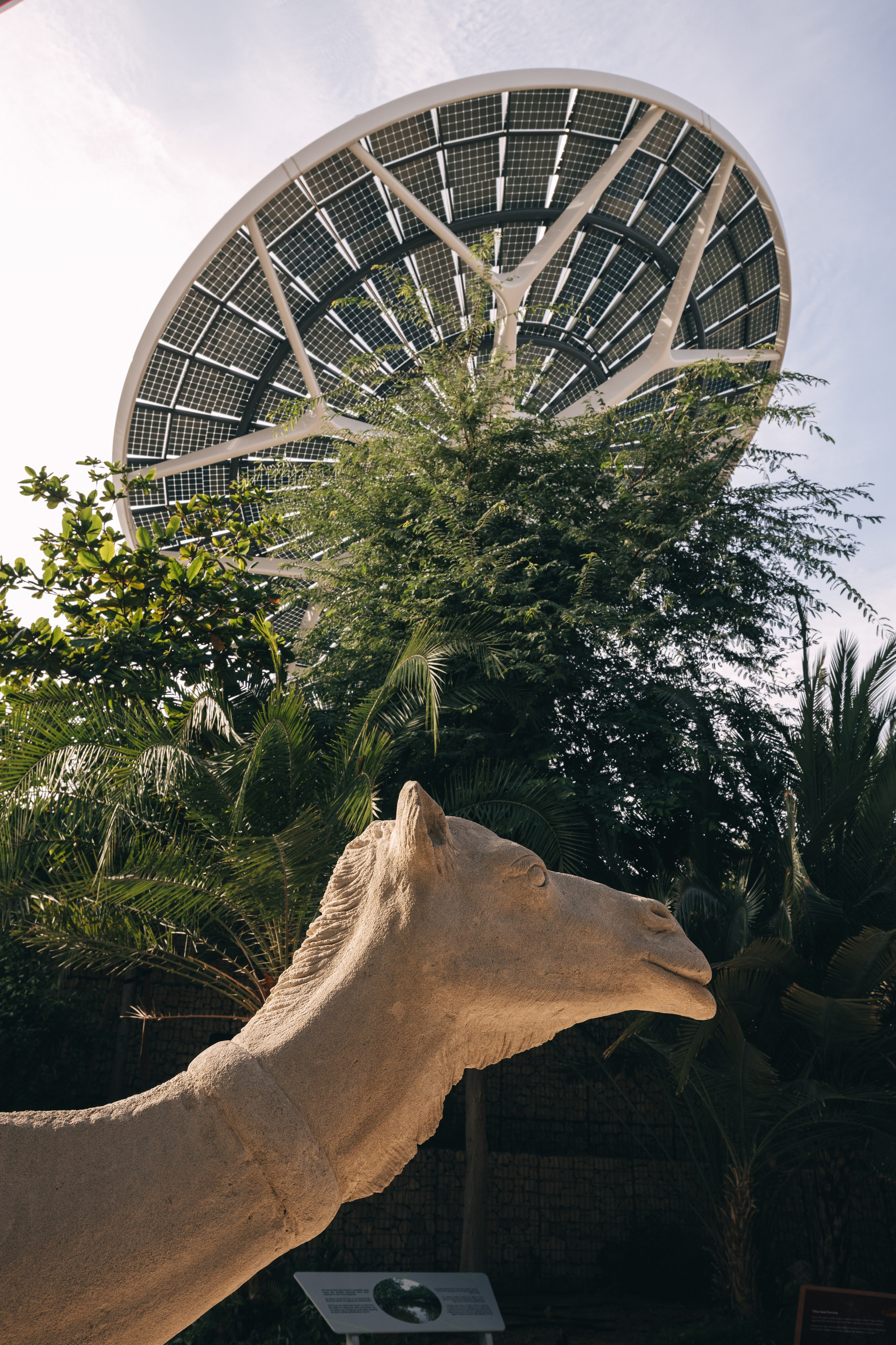 Дубай 2023. Руслан Плахтеев