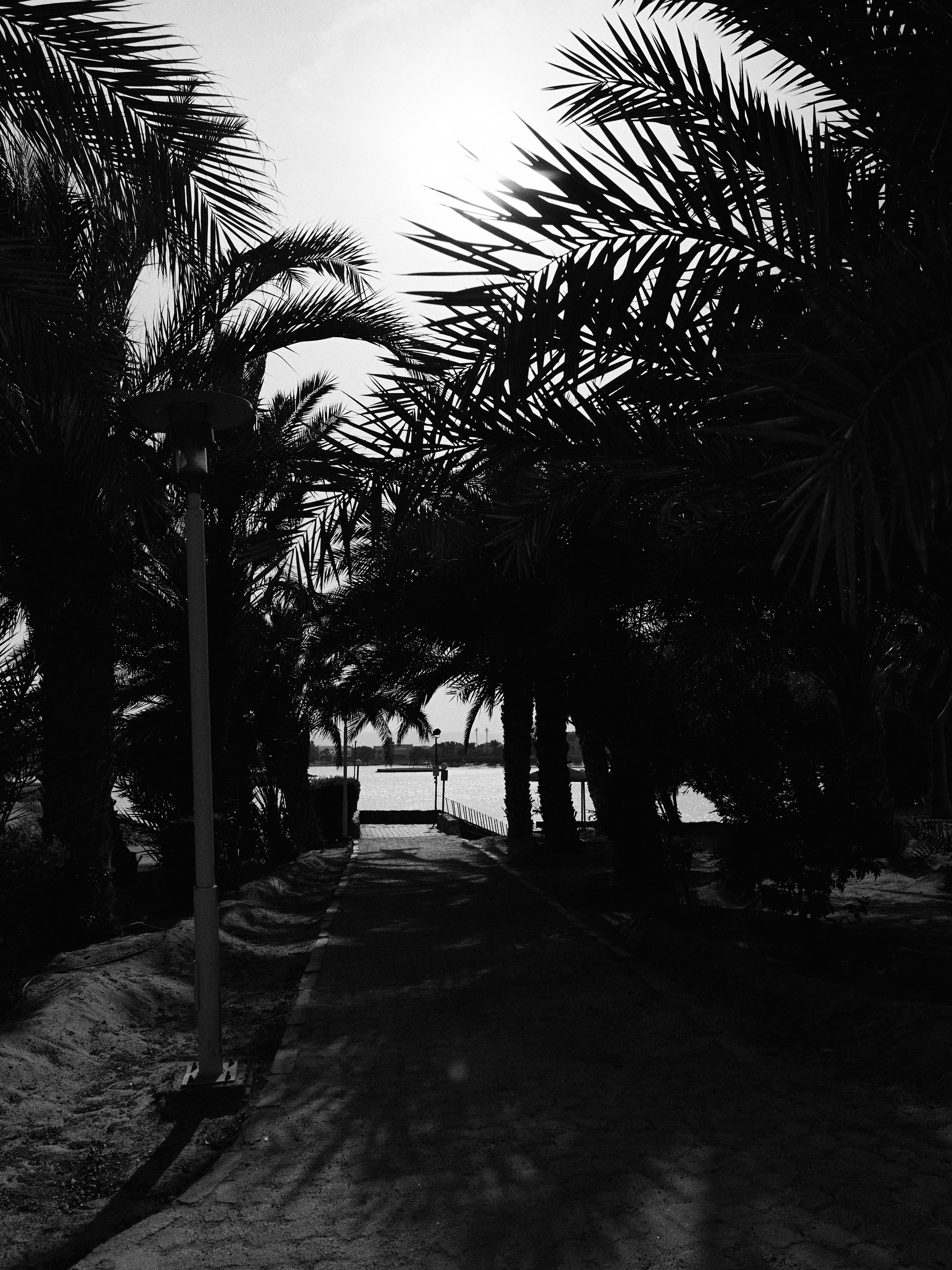 B&W. Jorgis — фотограф в Хургаде / обучение фотографии