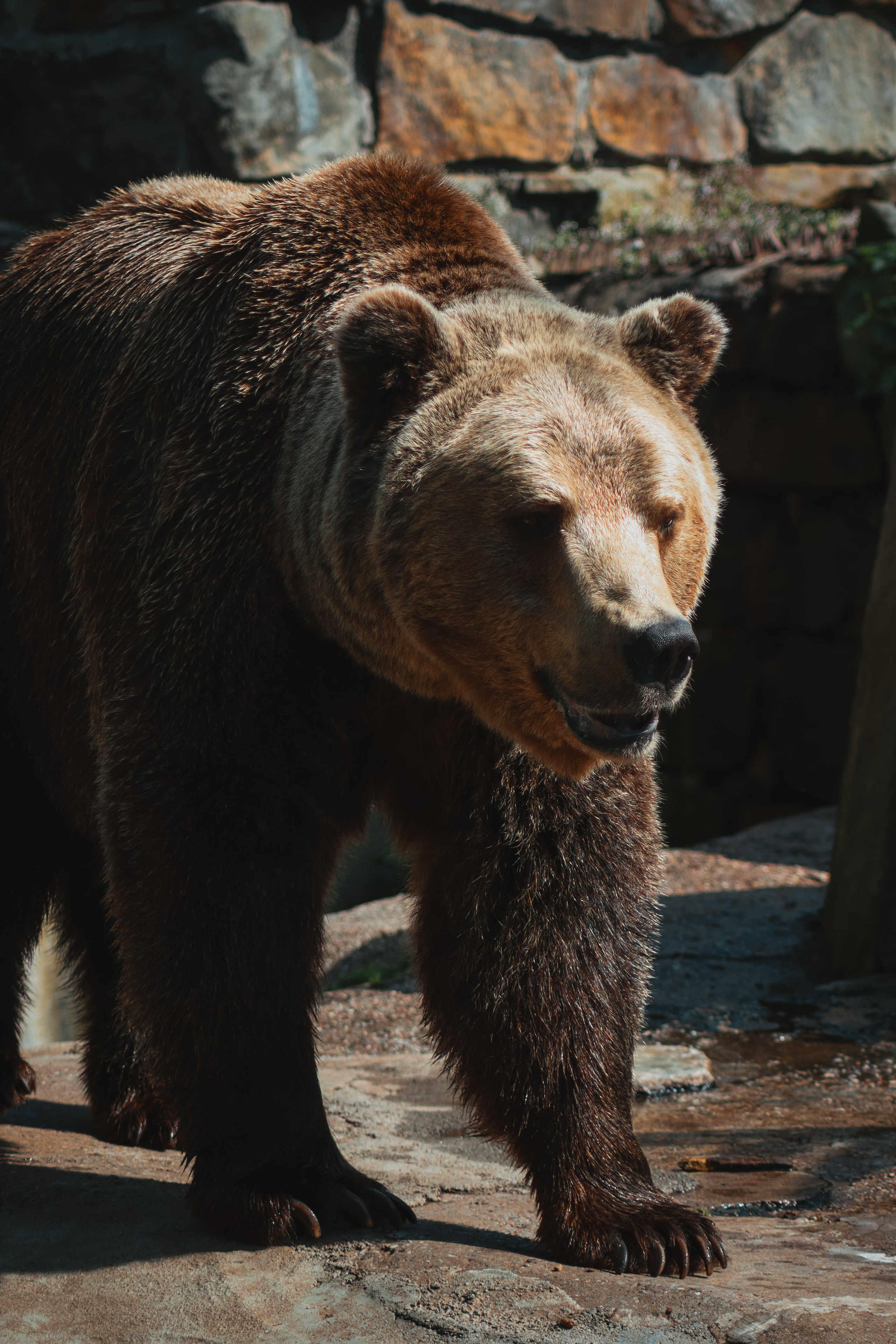 Р А З Н А Я — Ж И В Н О С Т Ь. — Digital Noise —