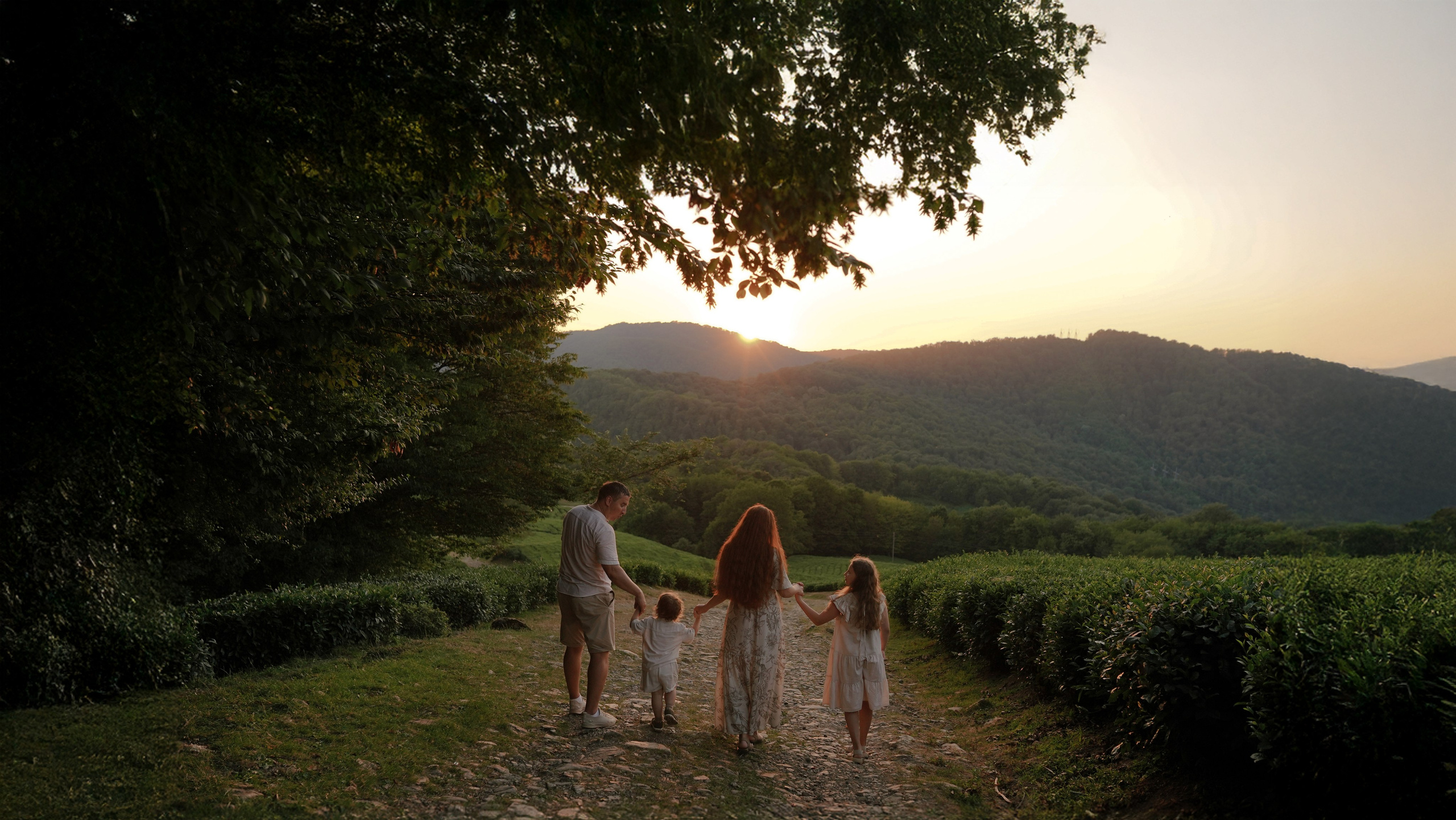 Чайные плантации. Милана Довгаль - семейный фотограф и видеограф  в Адлере и Сочи