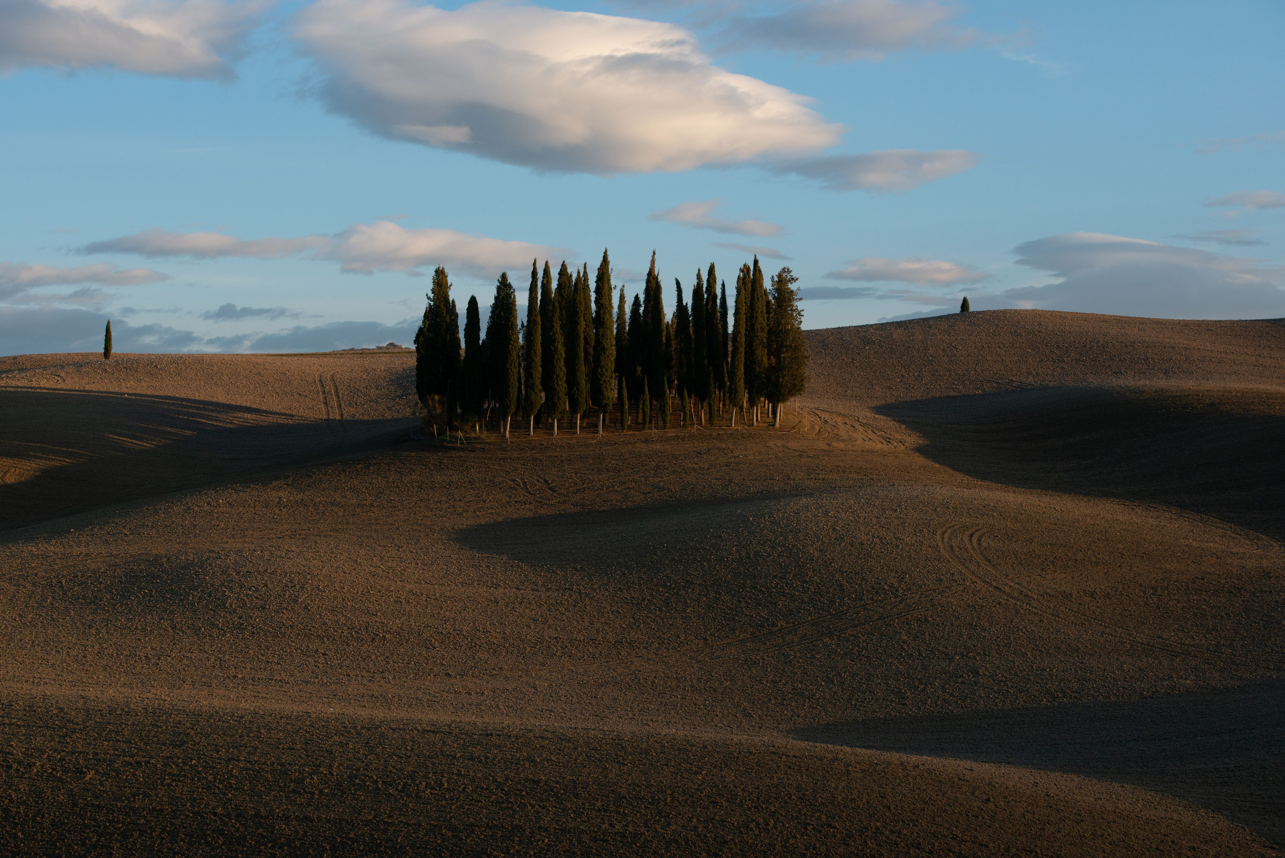 Классический пейзаж Тосканы с кипарисами на холме в долине Валь-д’Орча при мягком вечернем свете.