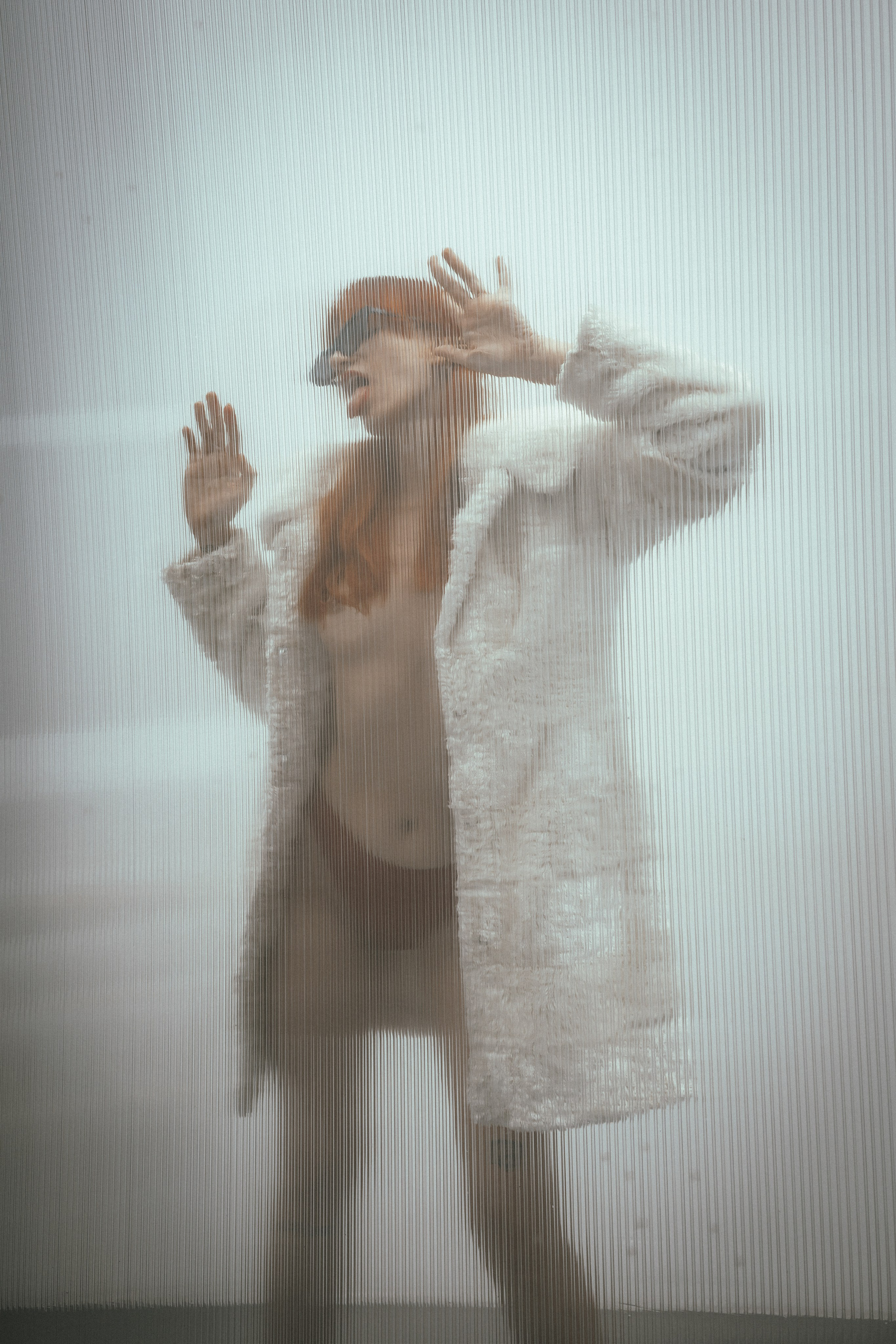 Лая. Gorbunova Alina Фотограф