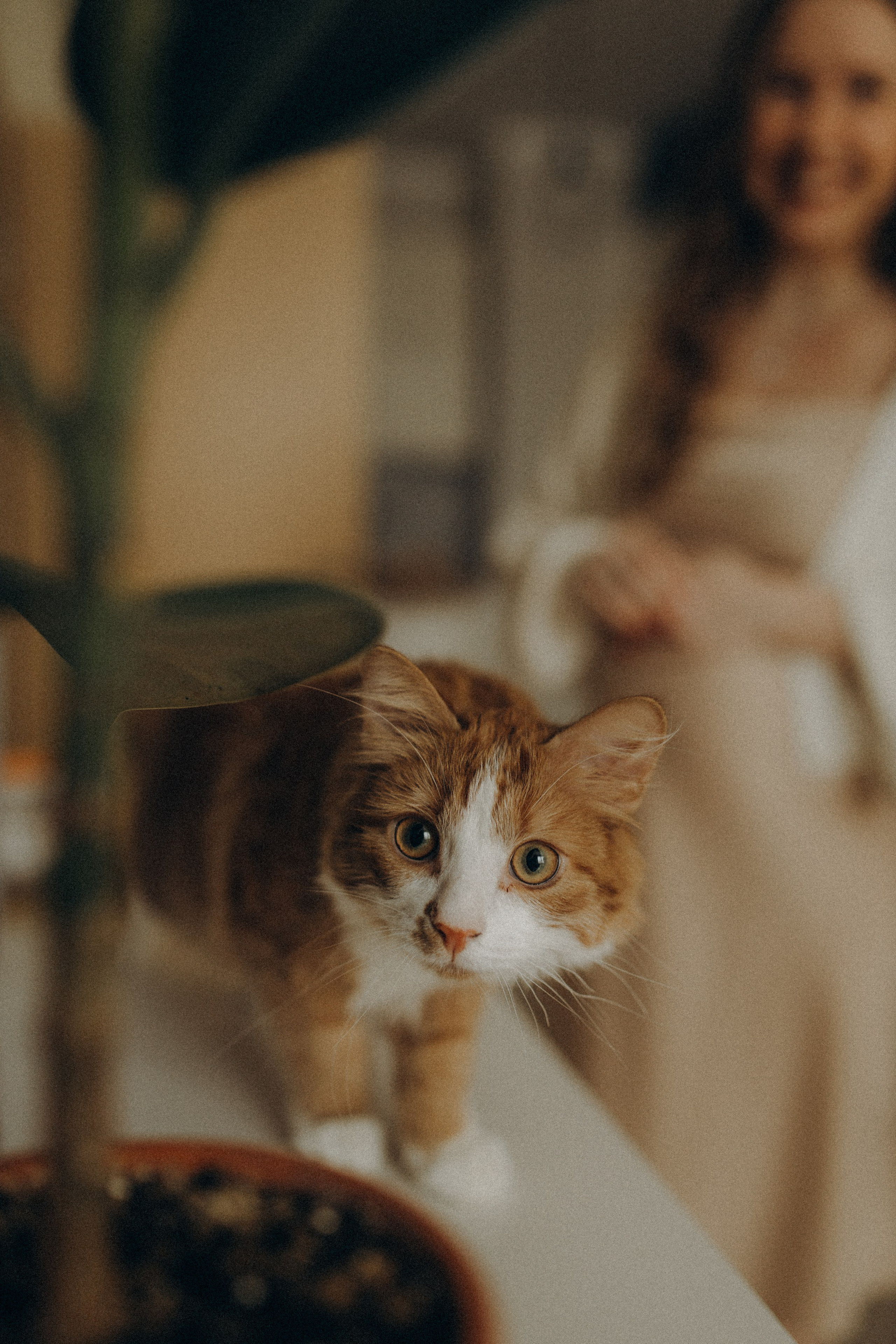 Тимур и Юля. Фотограф в Петербурге Ольга Стрельченко