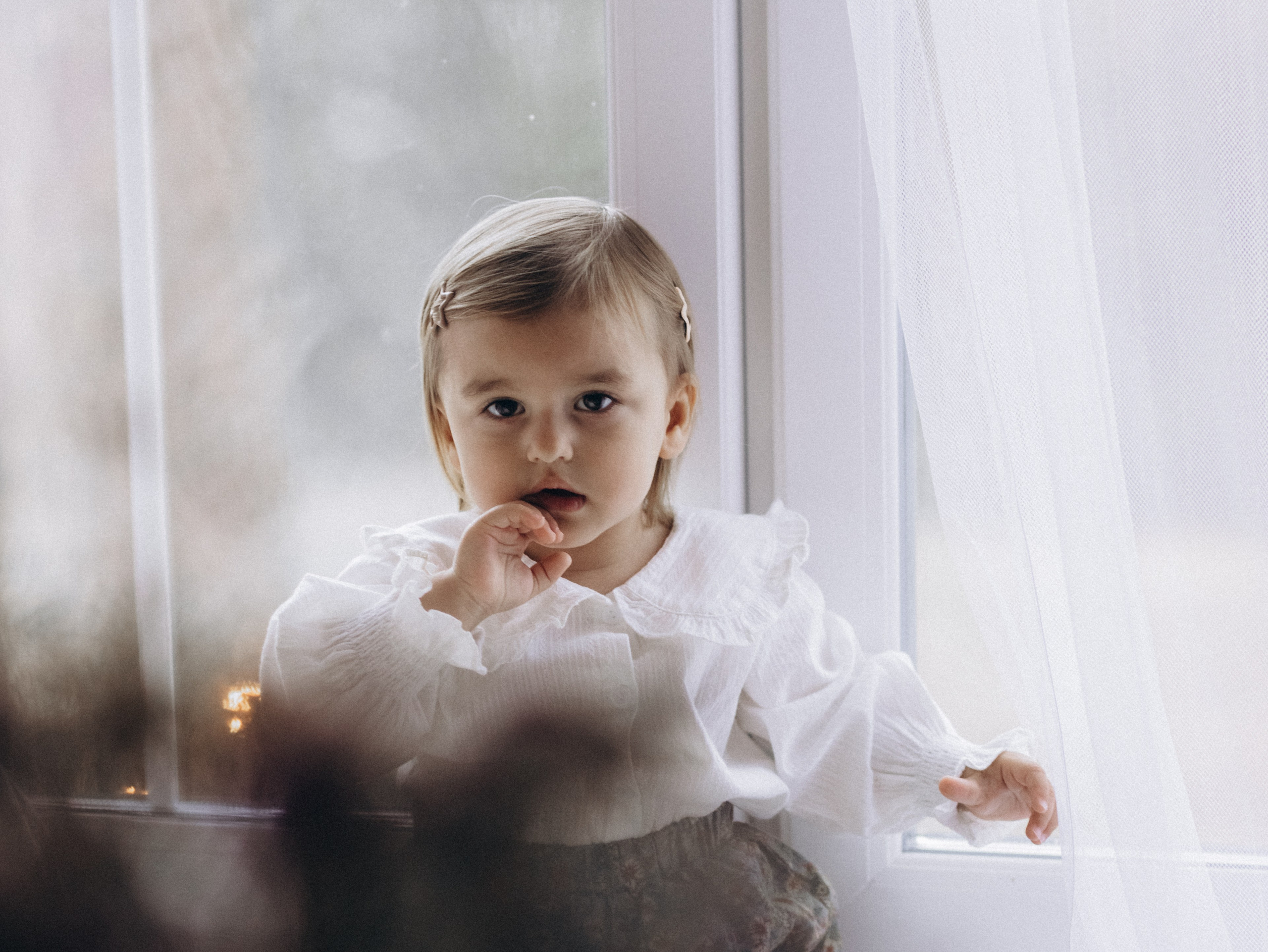 Теплая осень. Фотограф-анималист в Москве Кириллова Татьяна