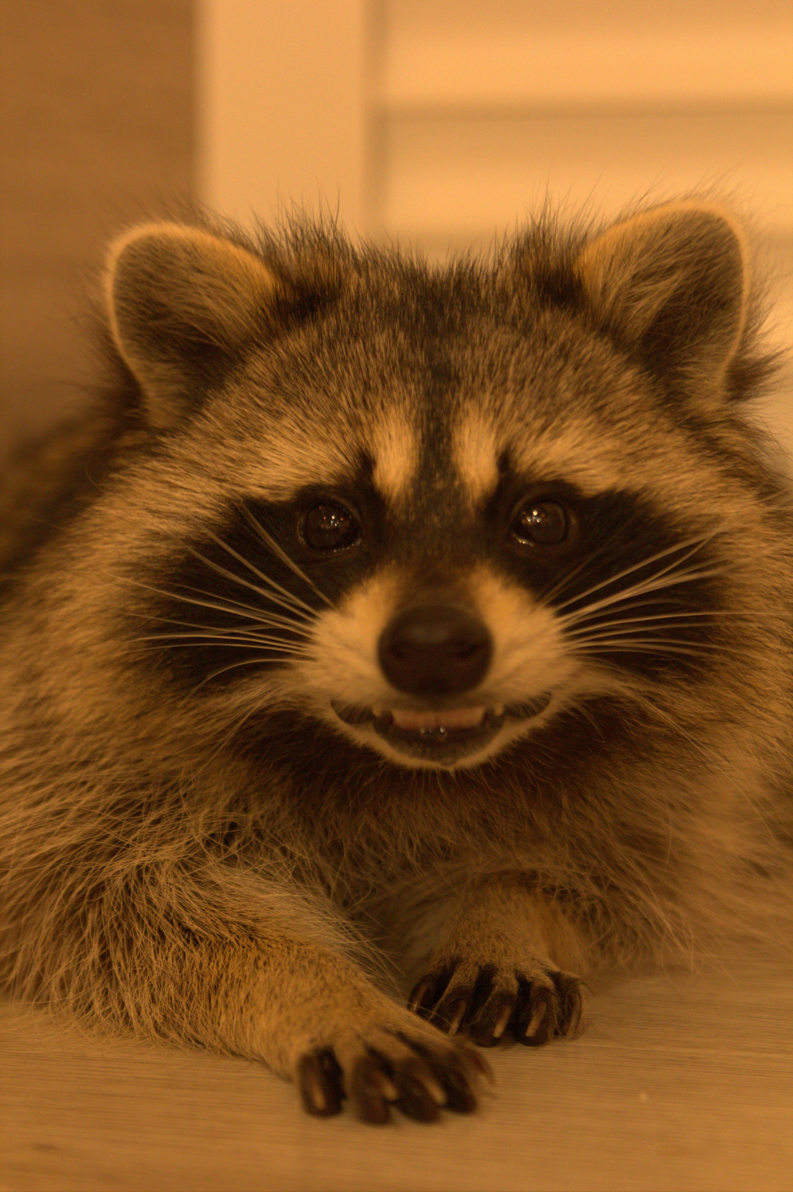 Портфолио. Фотограф в Москве Александра