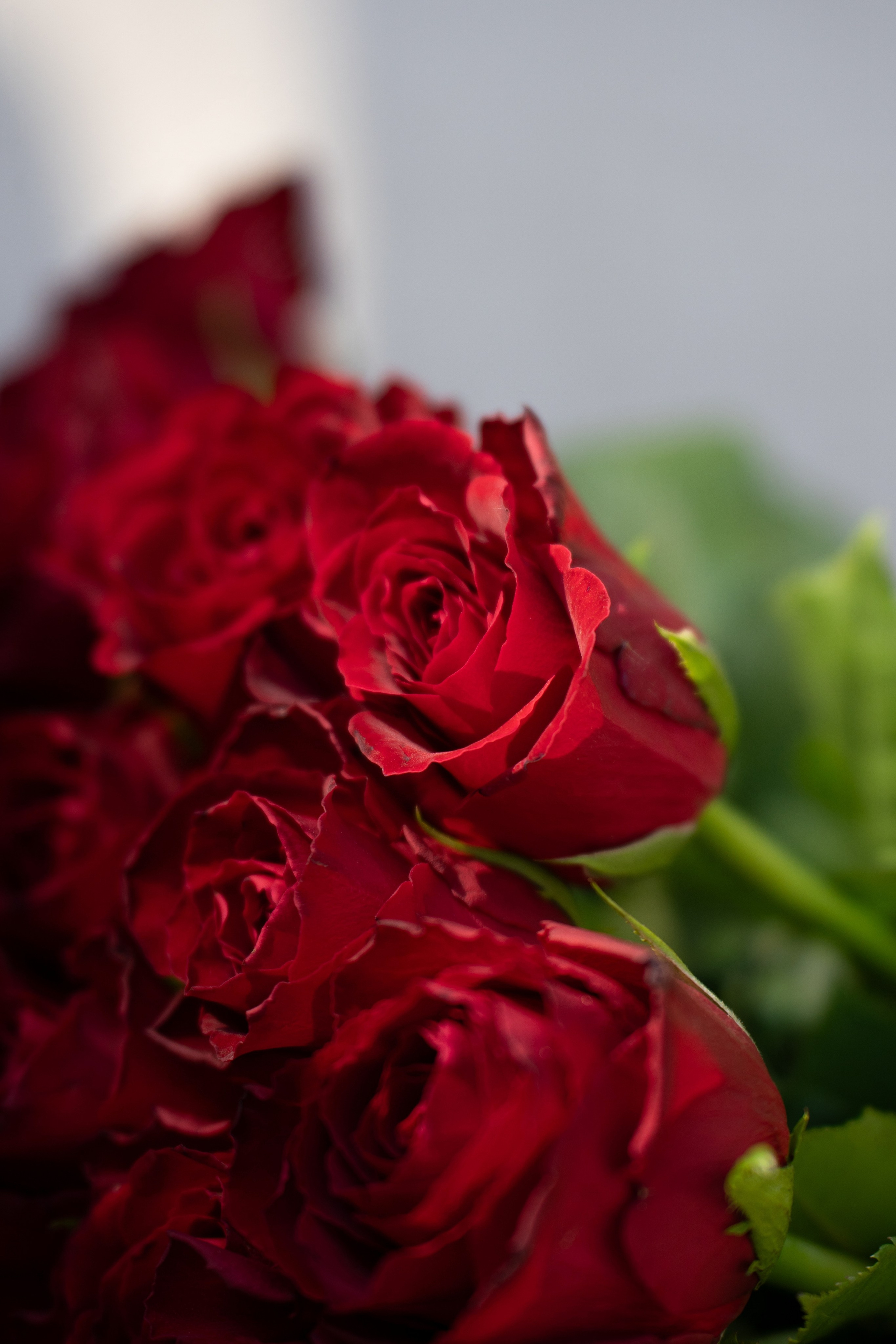 Свадебная съёмка от фотографа Владислава Блинова — Создайте идеальную свадебную съёмку. Vladislav Blinov photographer