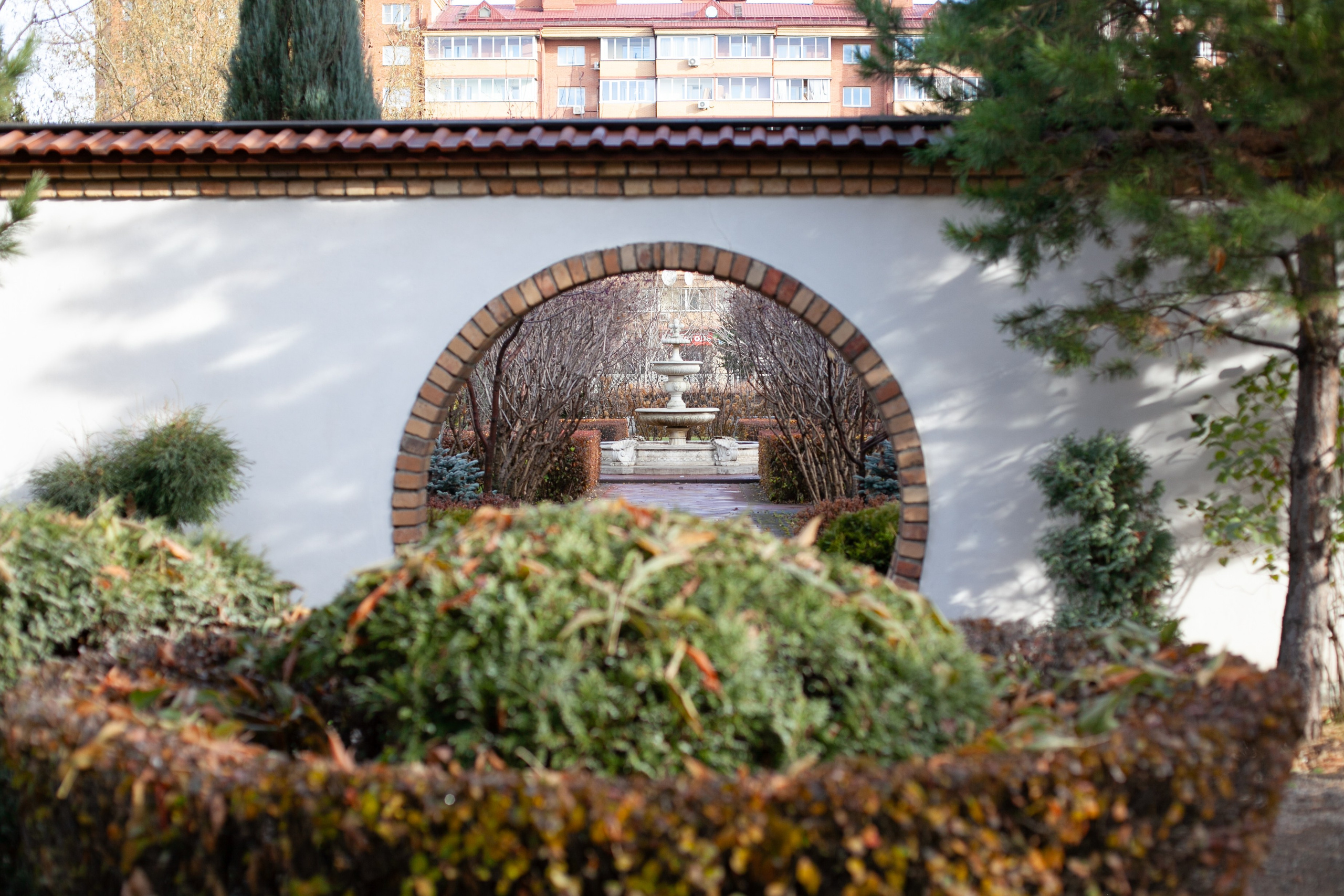 Сады Мечты. Контент для сайта. Фотограф Дарья Локотко в Красноярске