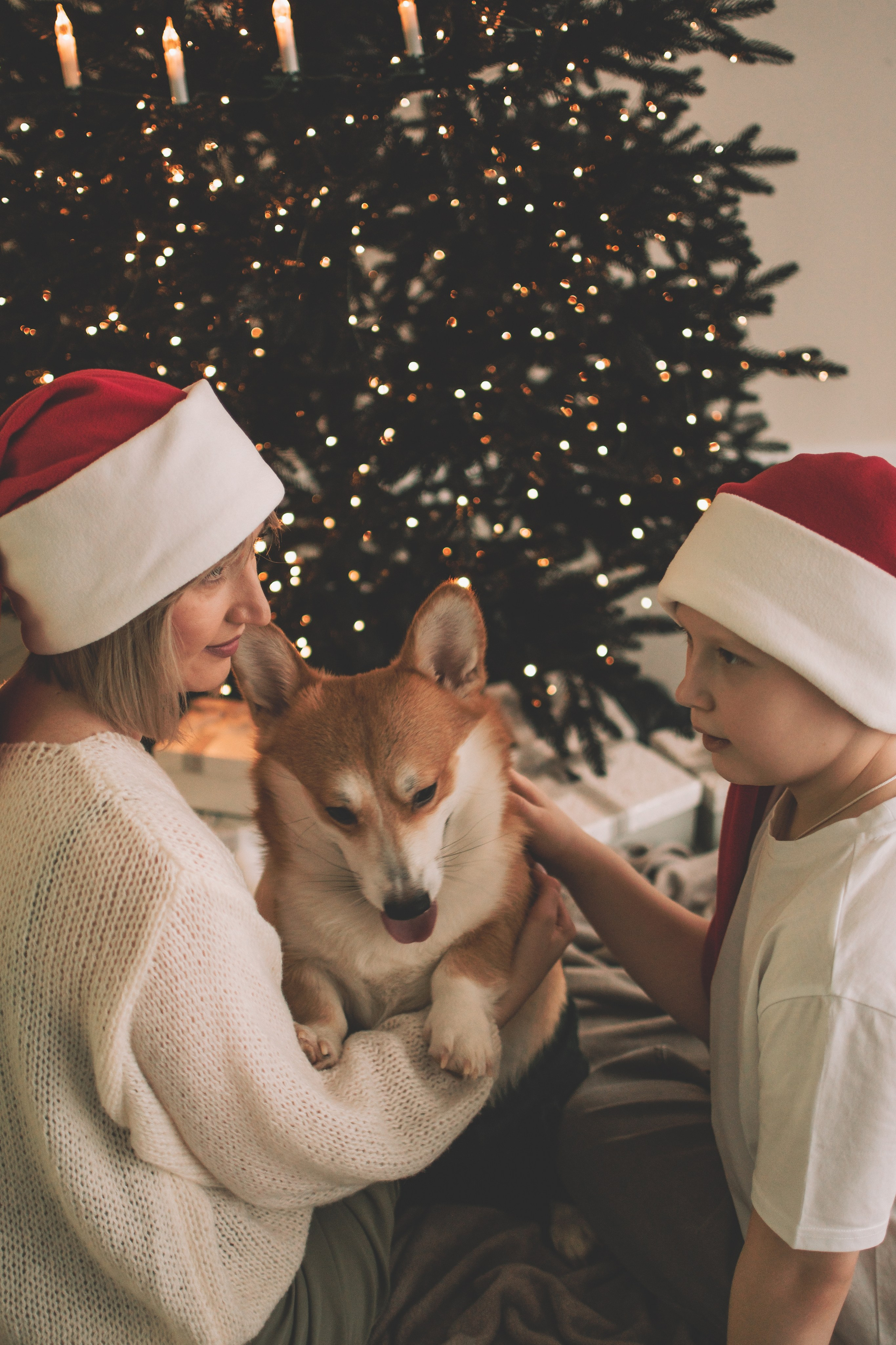 Степан и Анастасия. Семейный и свадебный фотограф Губкинский и Ставрополь