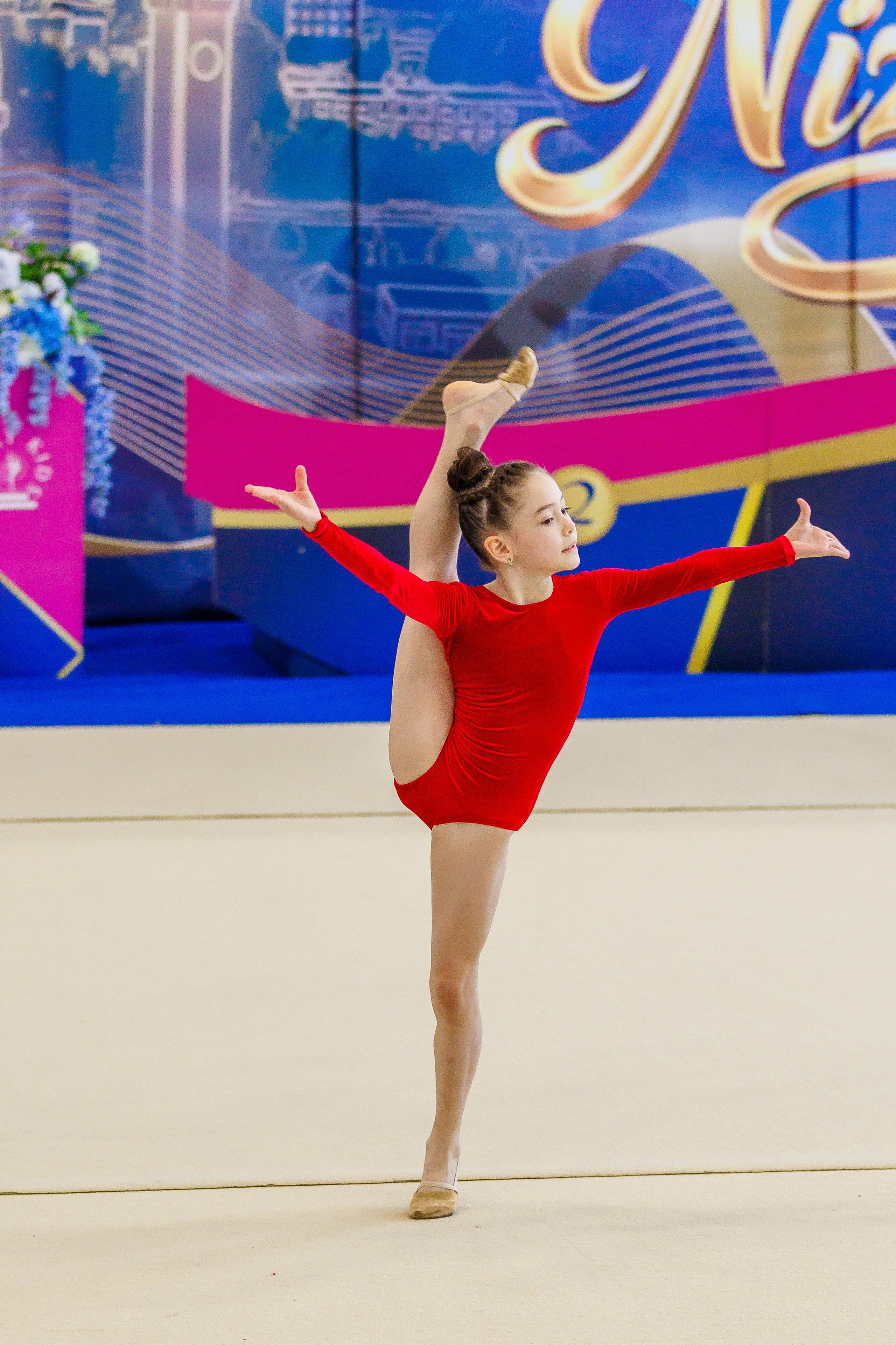 Художественная гимнастика