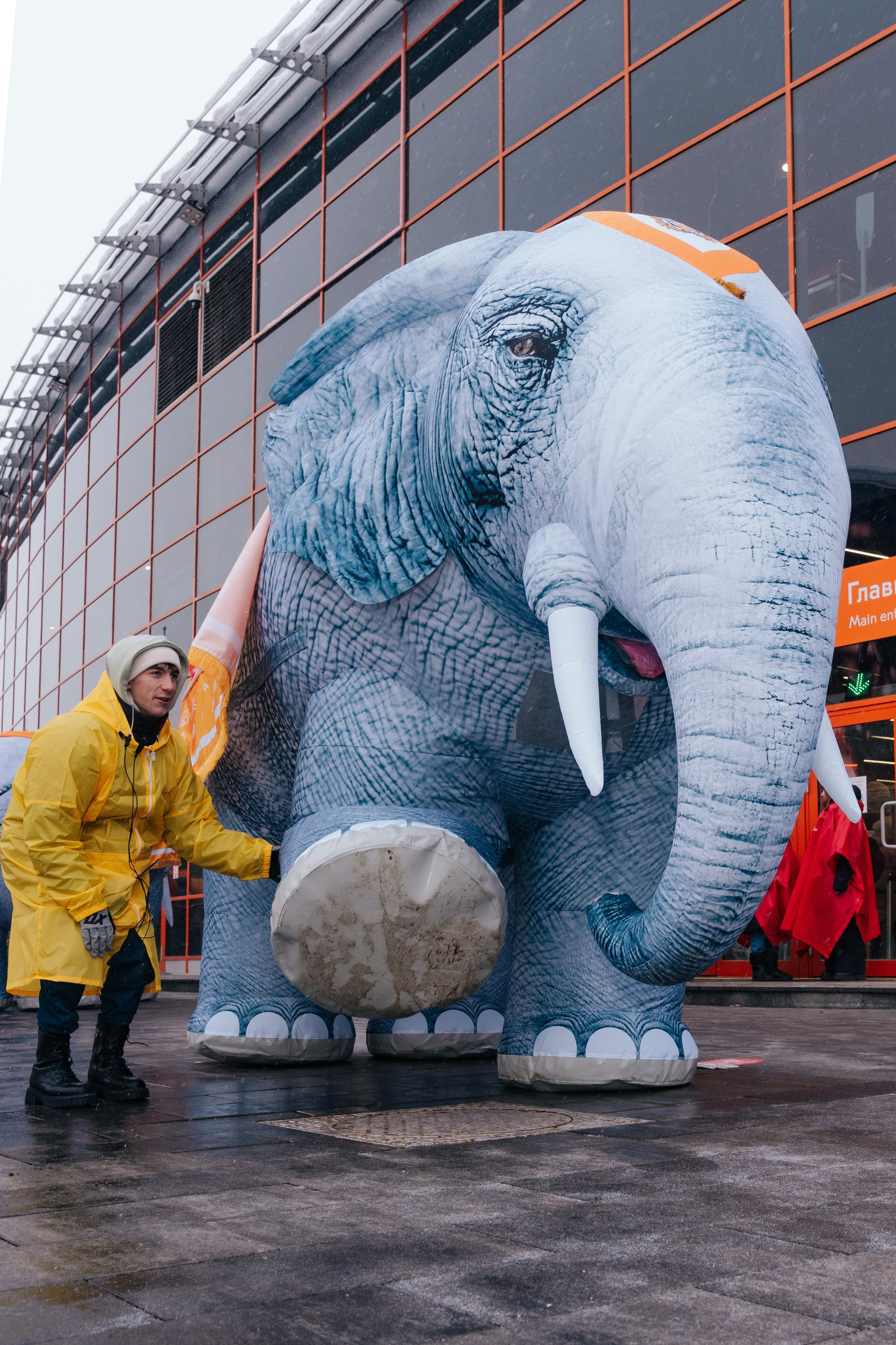 Фото и видео на корпоратив, выставку, конференцию