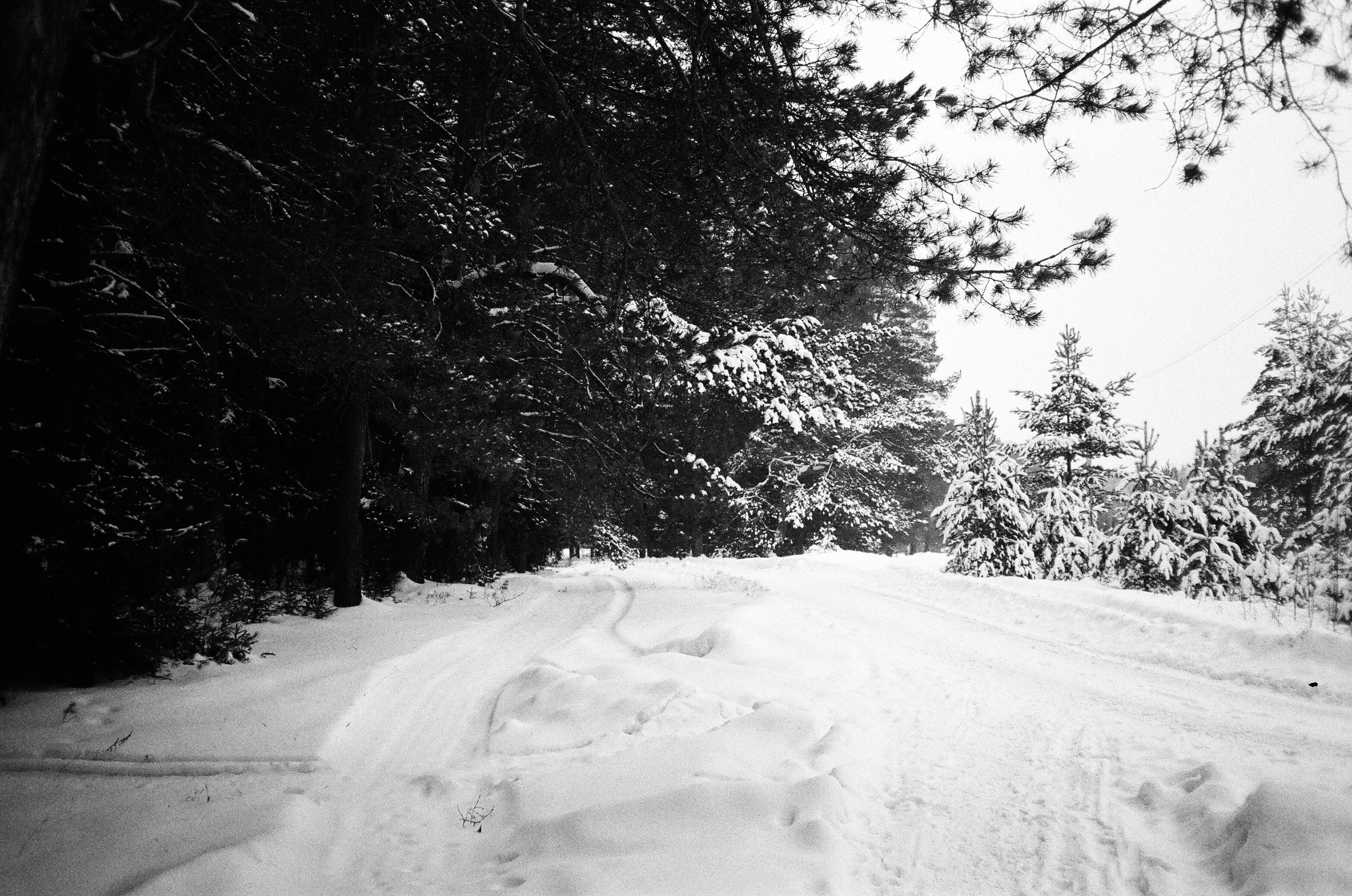 Village in snow. Pavlov Arts