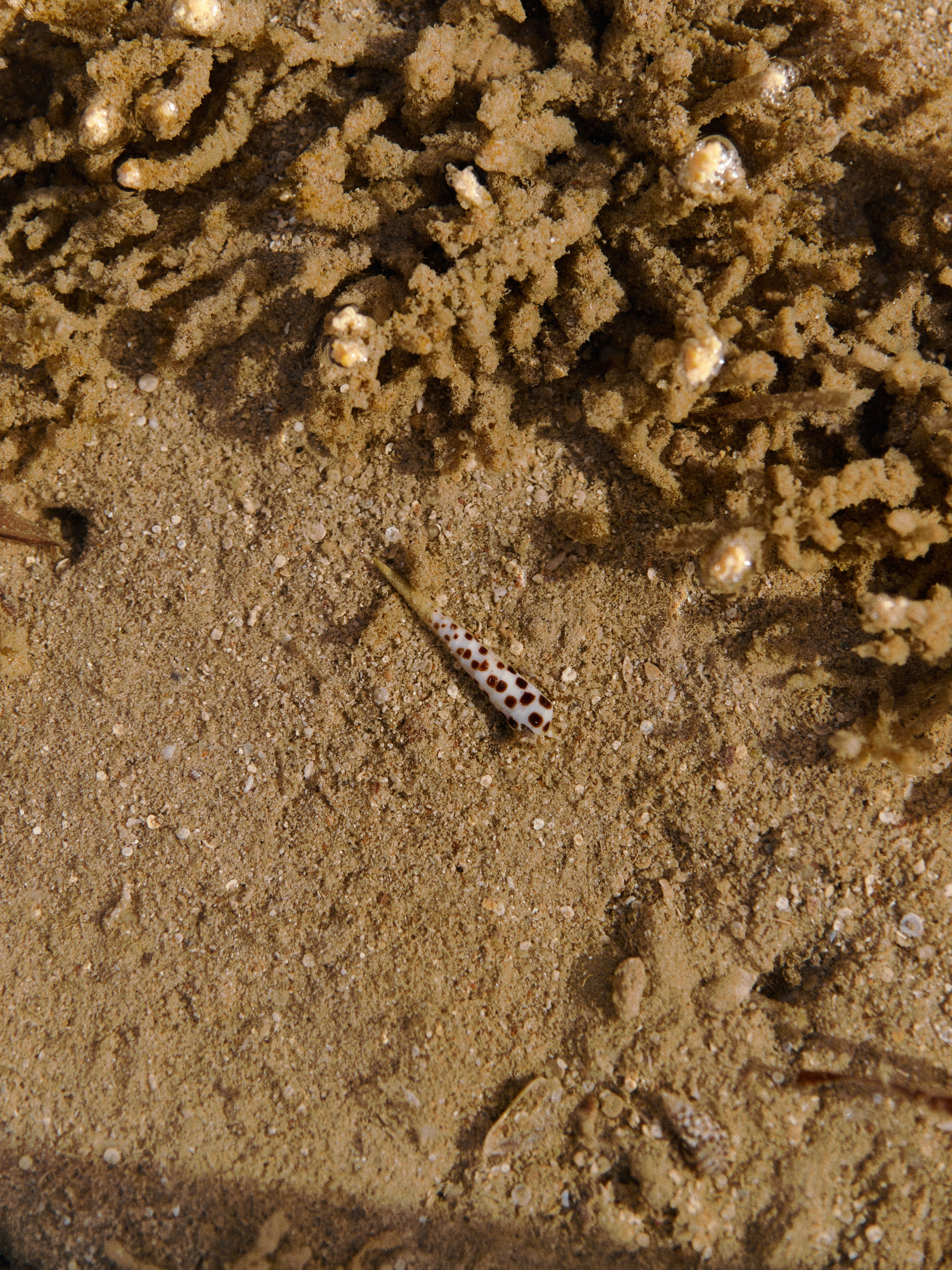 Природа. Jorgis Talè — photographer, kind person, teacher of arts and other mag