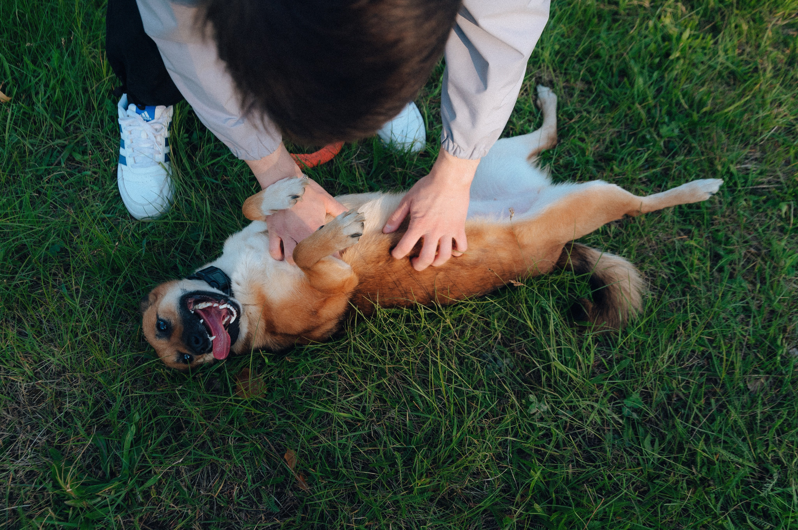 Влад и Алёна. Детский и семейный фотограф Катерина Мишина