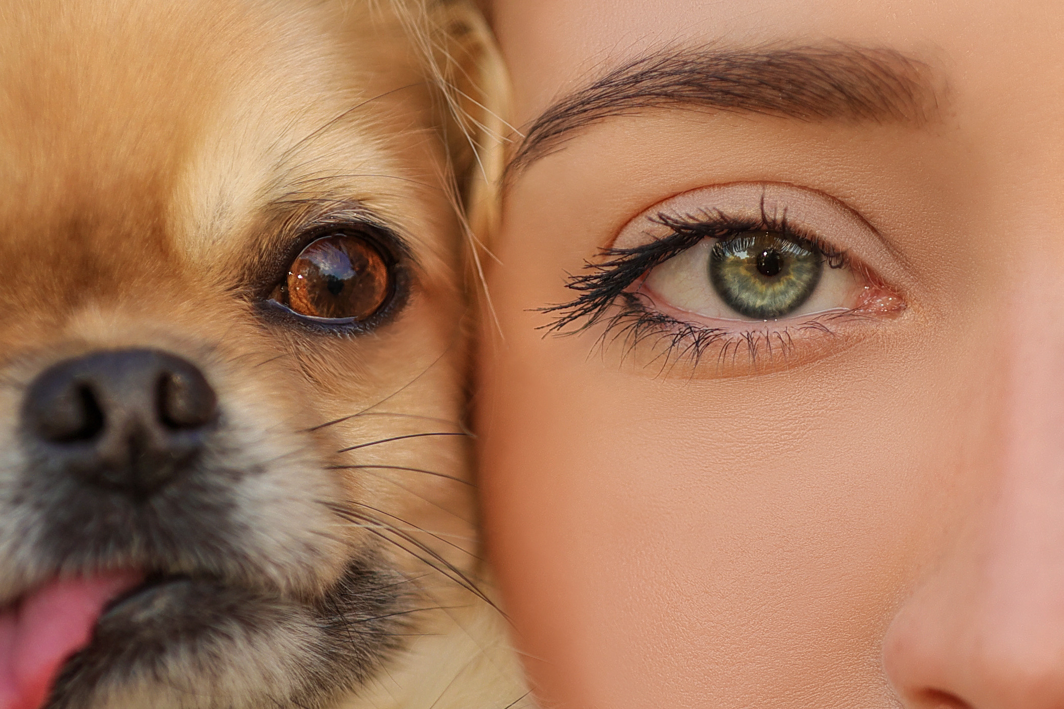 С глазу на глаз. Семейный фотограф-анималист Ирина Андреева