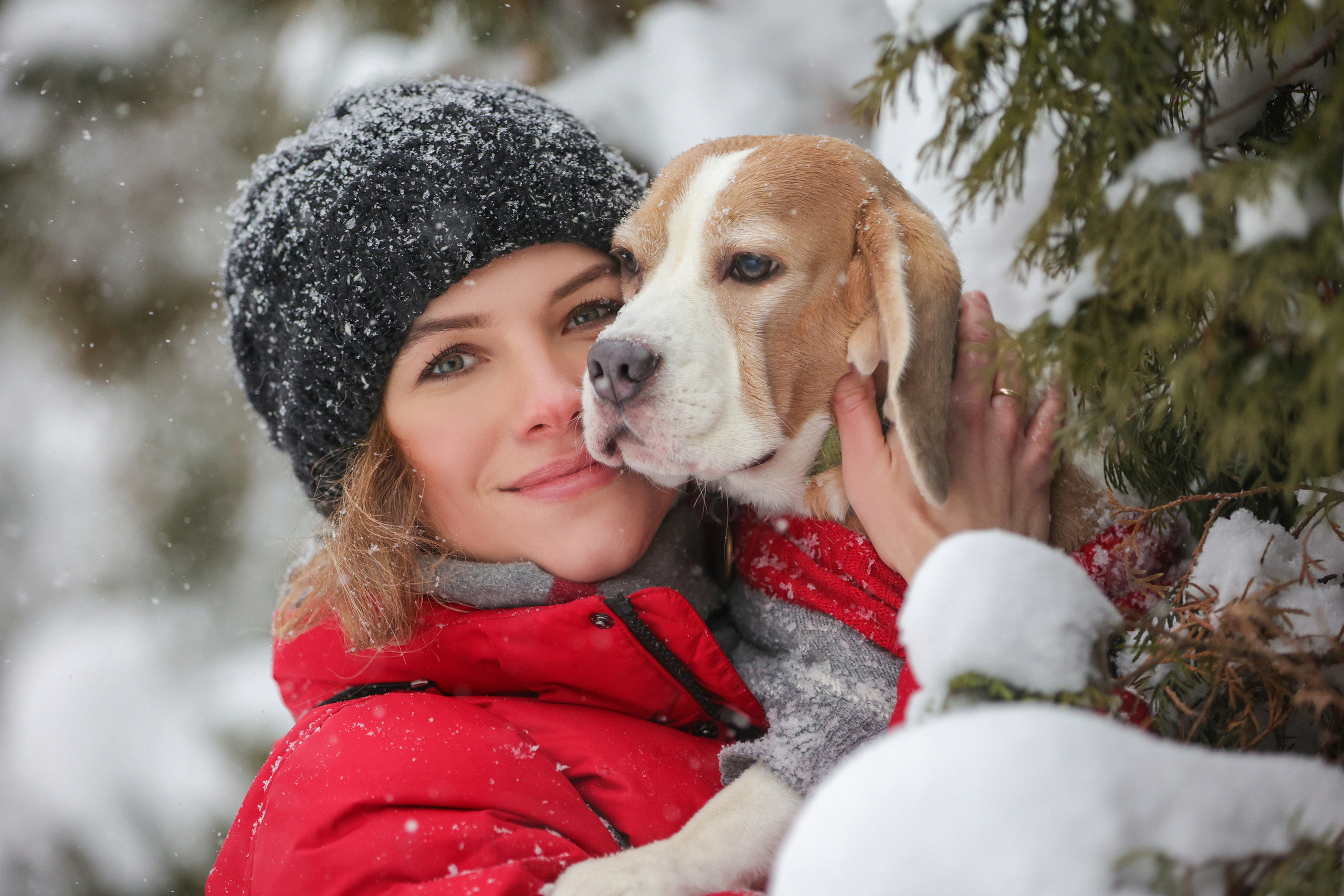 Портретные фотографии. Семейный фотограф-анималист Ирина Андреева
