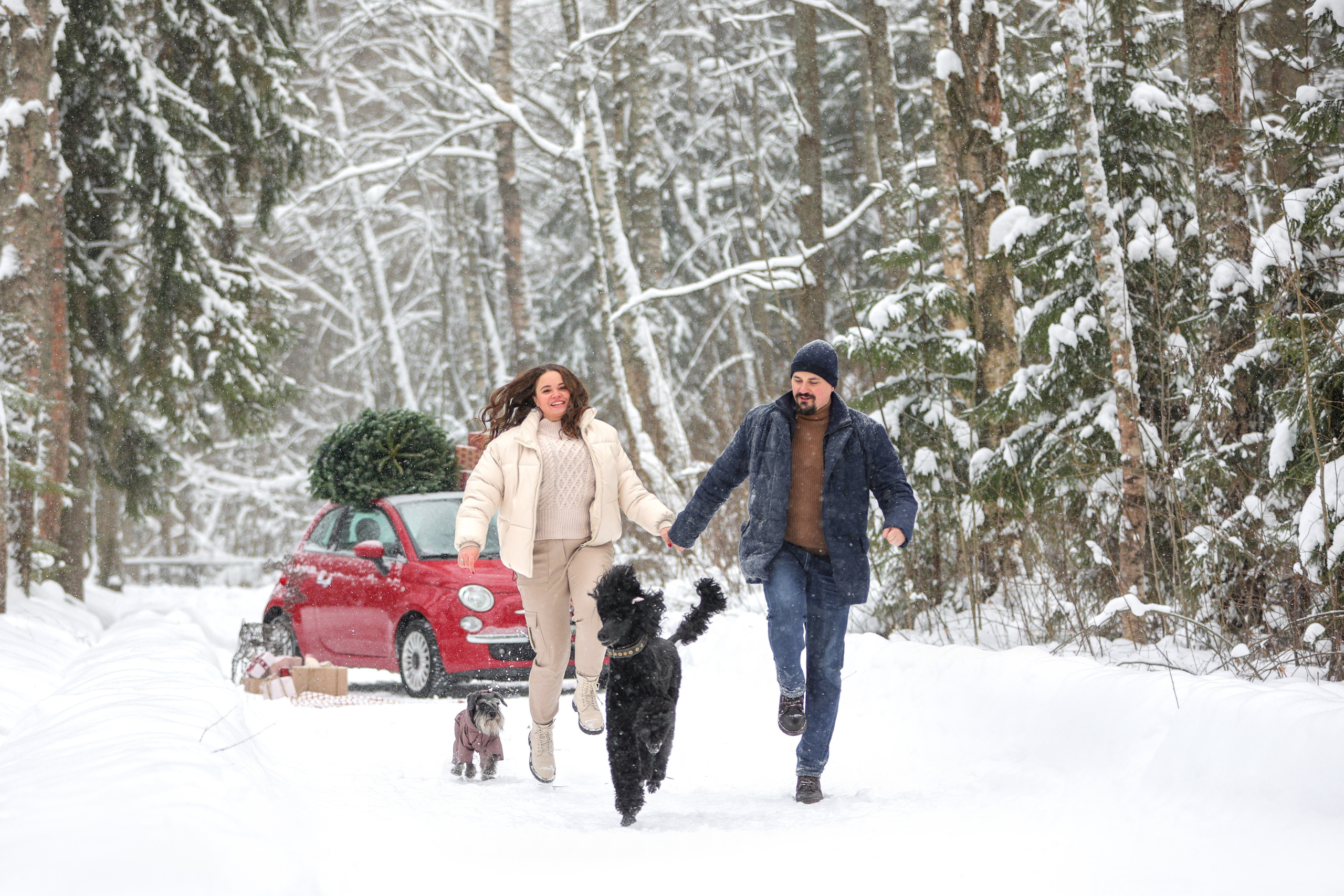 Фотографии в движении. Семейный фотограф-анималист Ирина Андреева