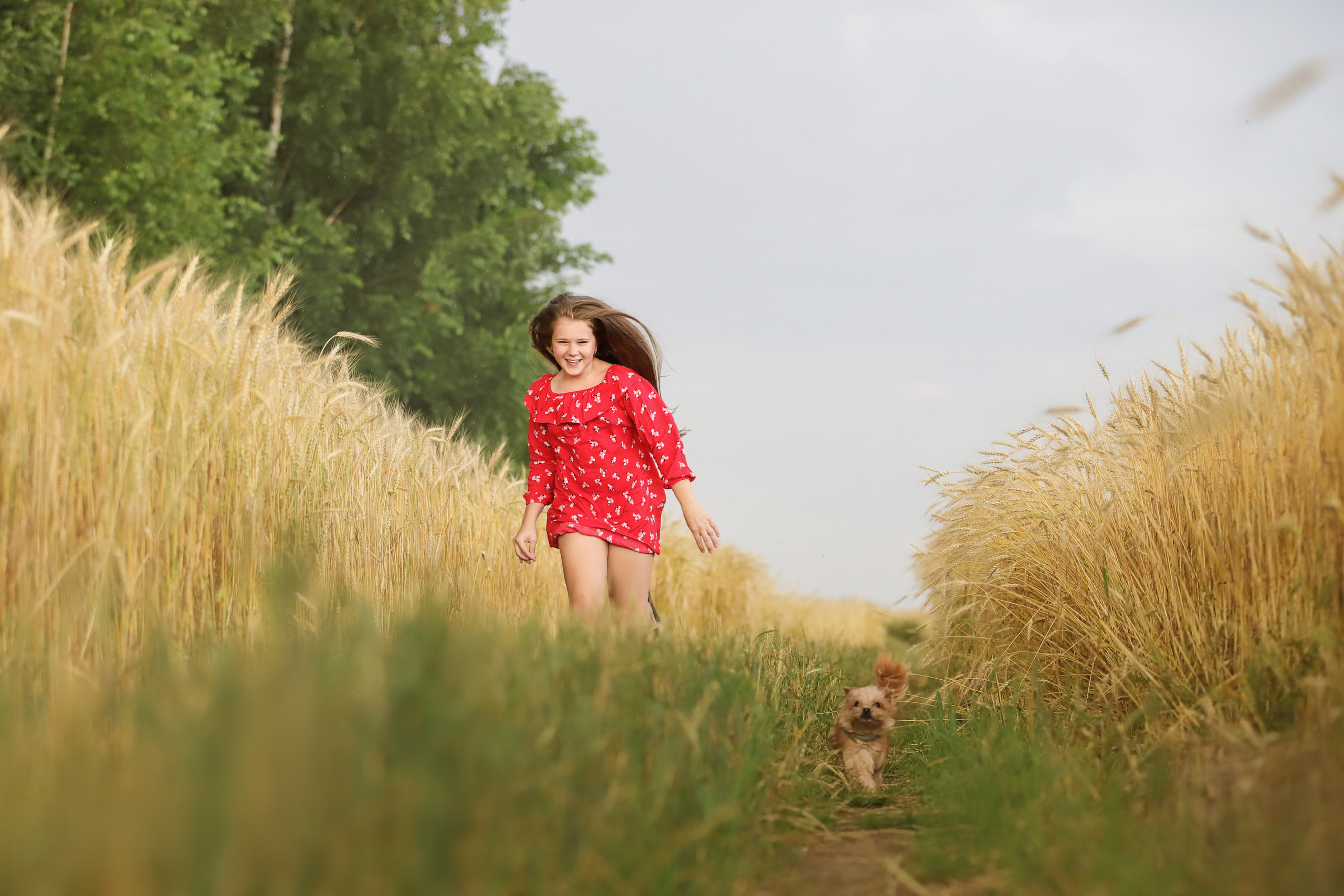 Фотографии в движении. Семейный фотограф-анималист Ирина Андреева