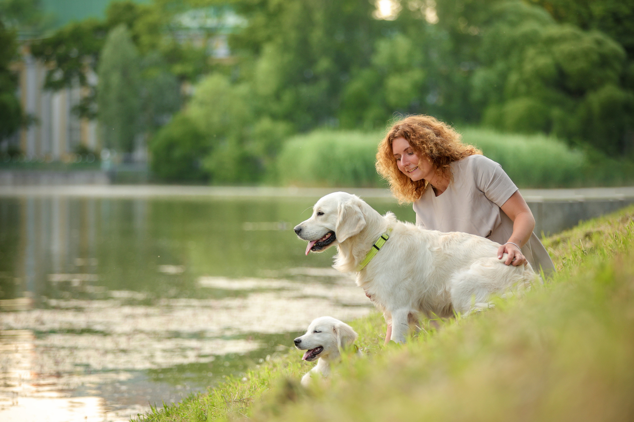 Портретные фотографии. Семейный фотограф-анималист Ирина Андреева