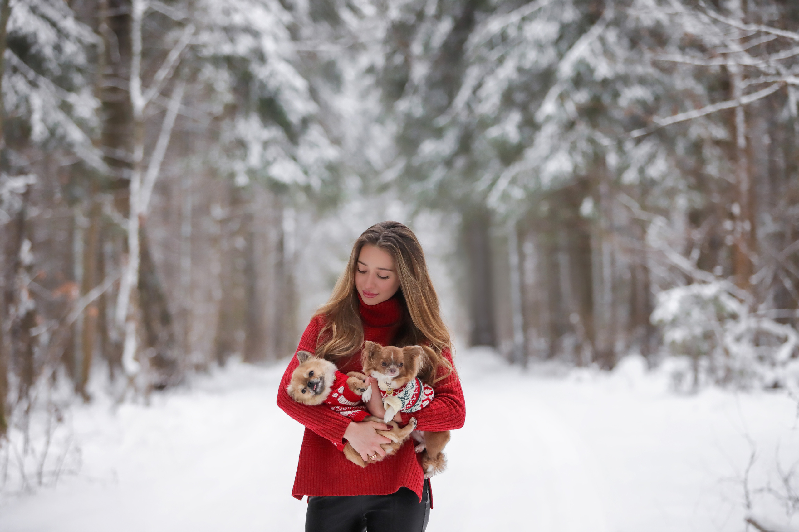Портретные фотографии. Семейный фотограф-анималист Ирина Андреева