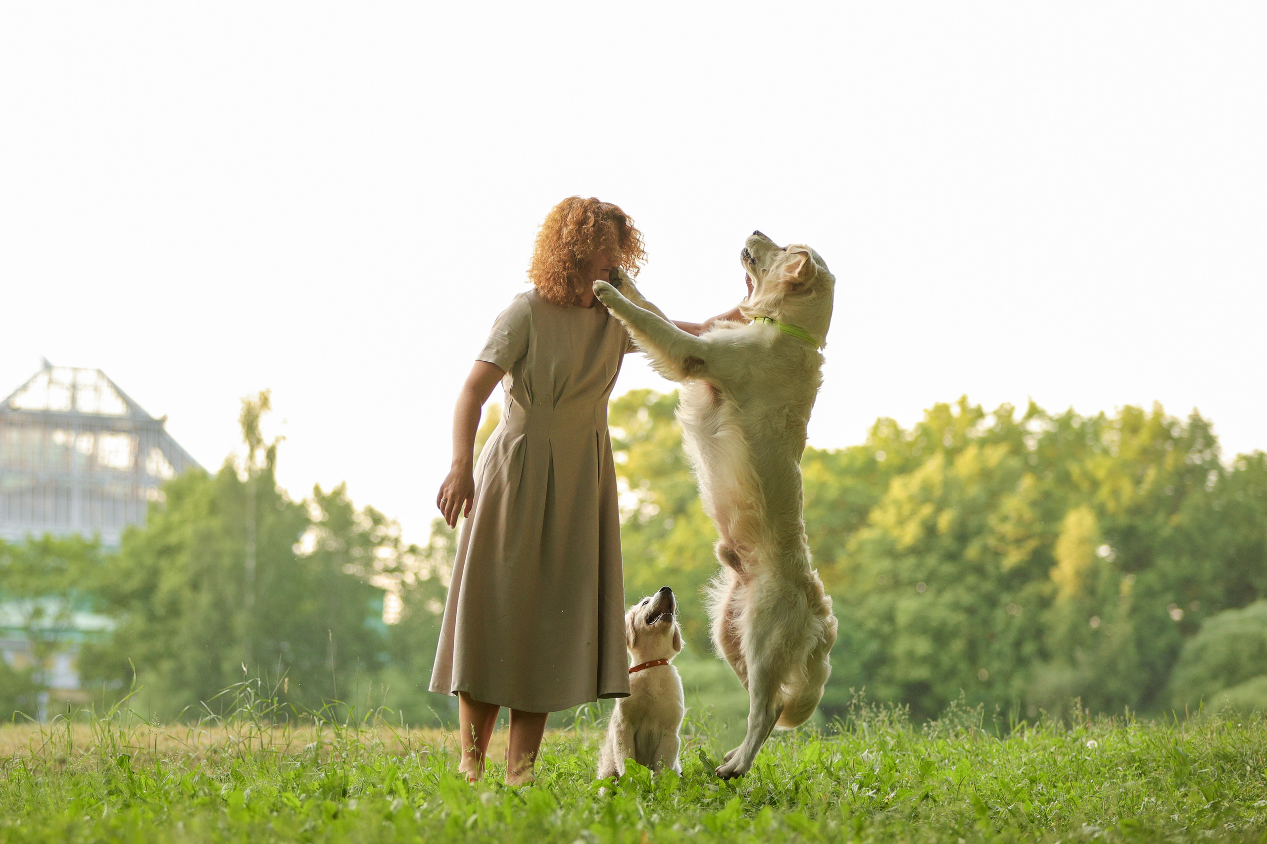 Фотографии в движении. Семейный фотограф-анималист Ирина Андреева