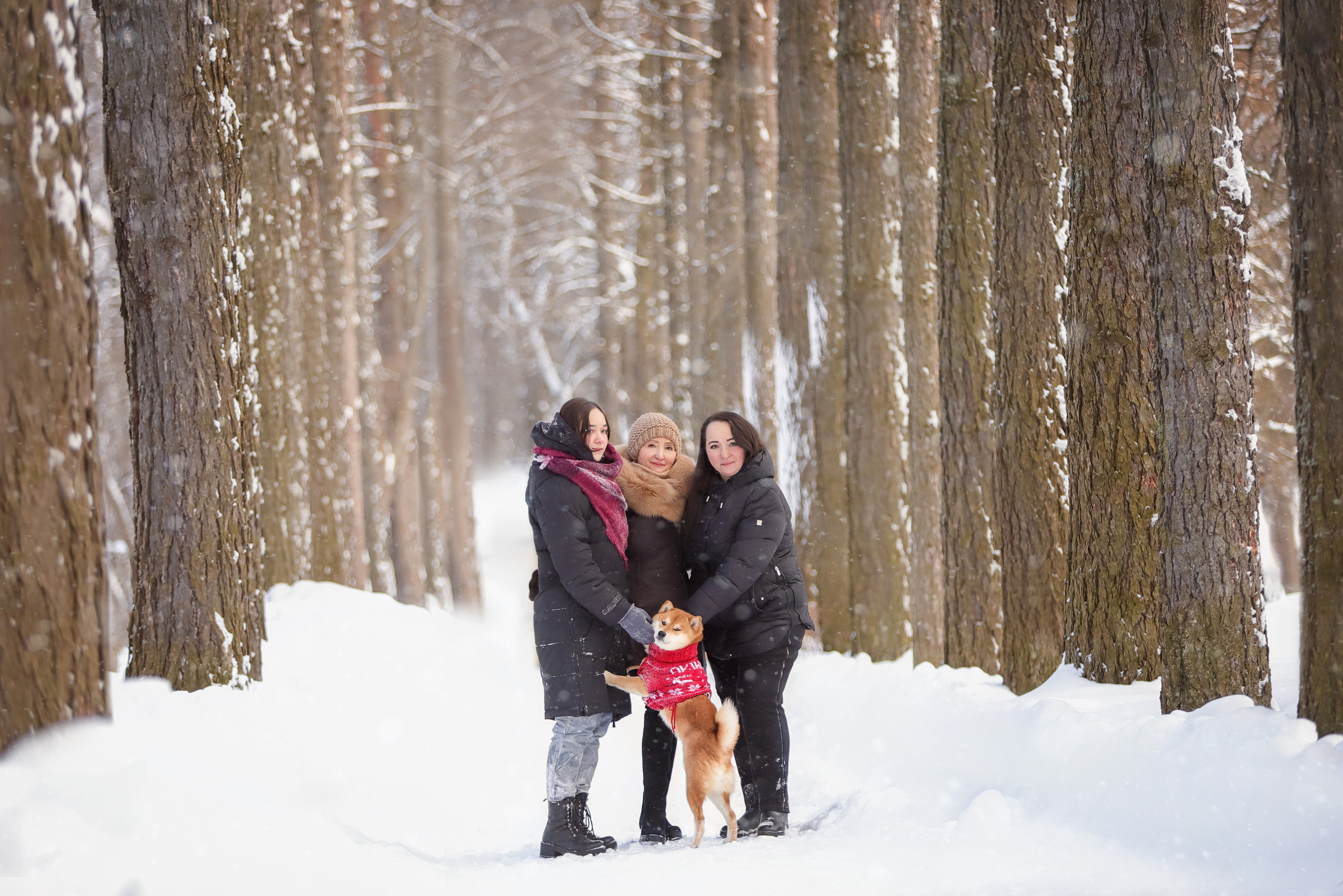 Портретные фотографии. Семейный фотограф-анималист Ирина Андреева