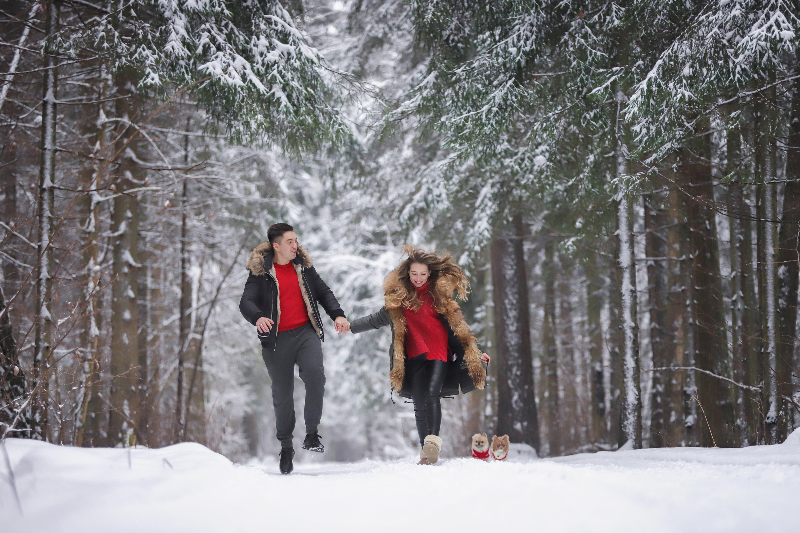 Фотографии в движении. Семейный фотограф-анималист Ирина Андреева
