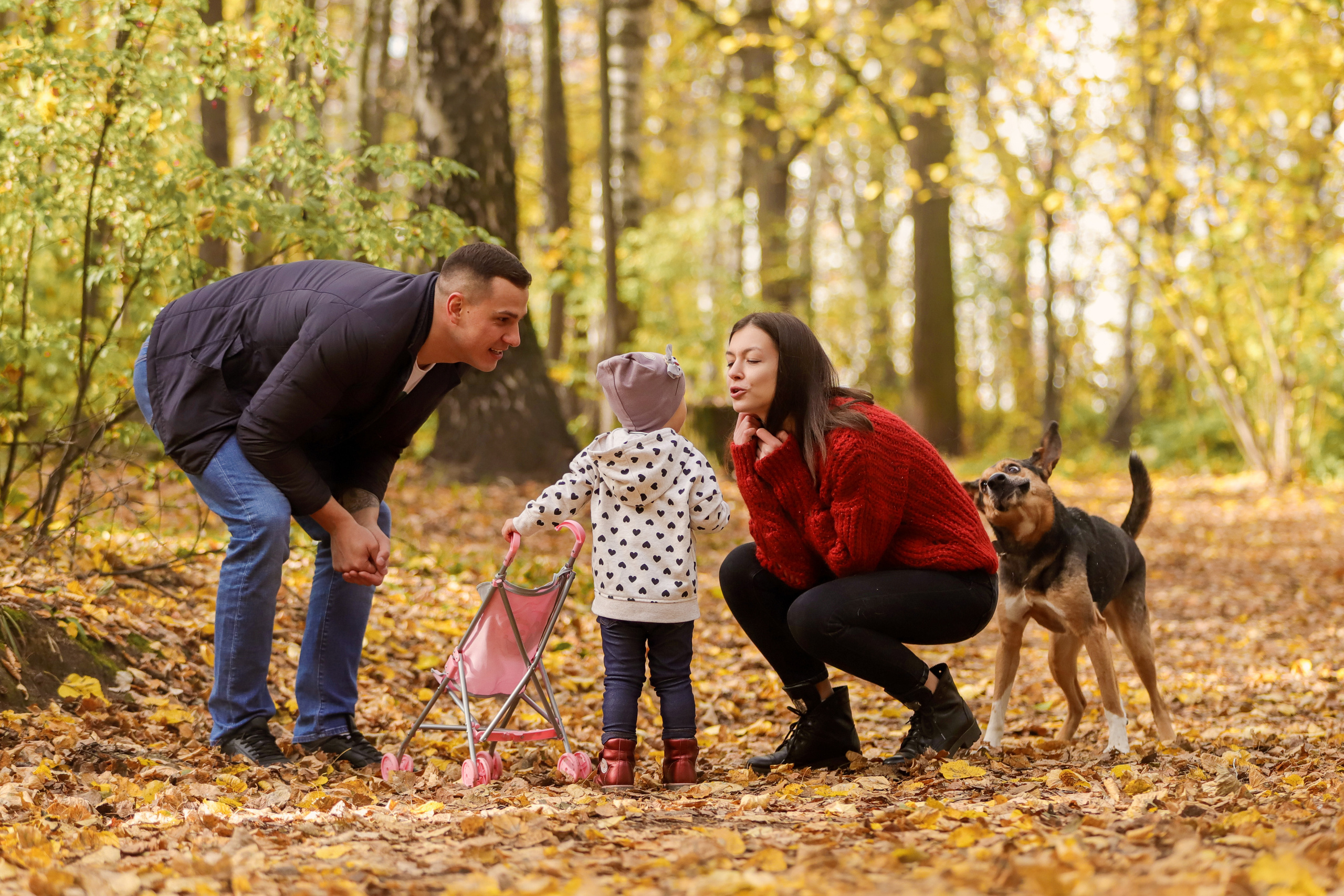 Фотографии в движении. Семейный фотограф-анималист Ирина Андреева