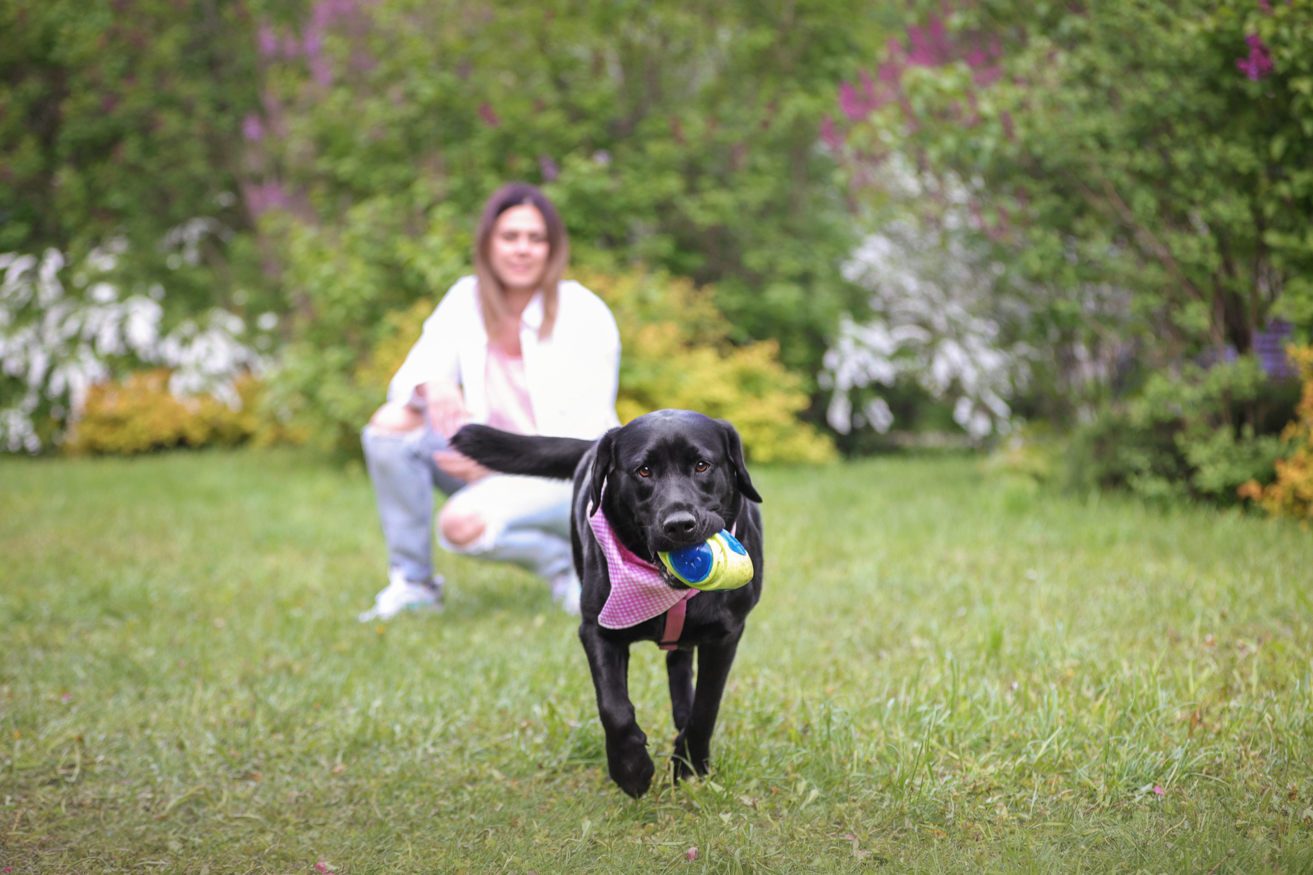 Фотографии в движении. Семейный фотограф-анималист Ирина Андреева