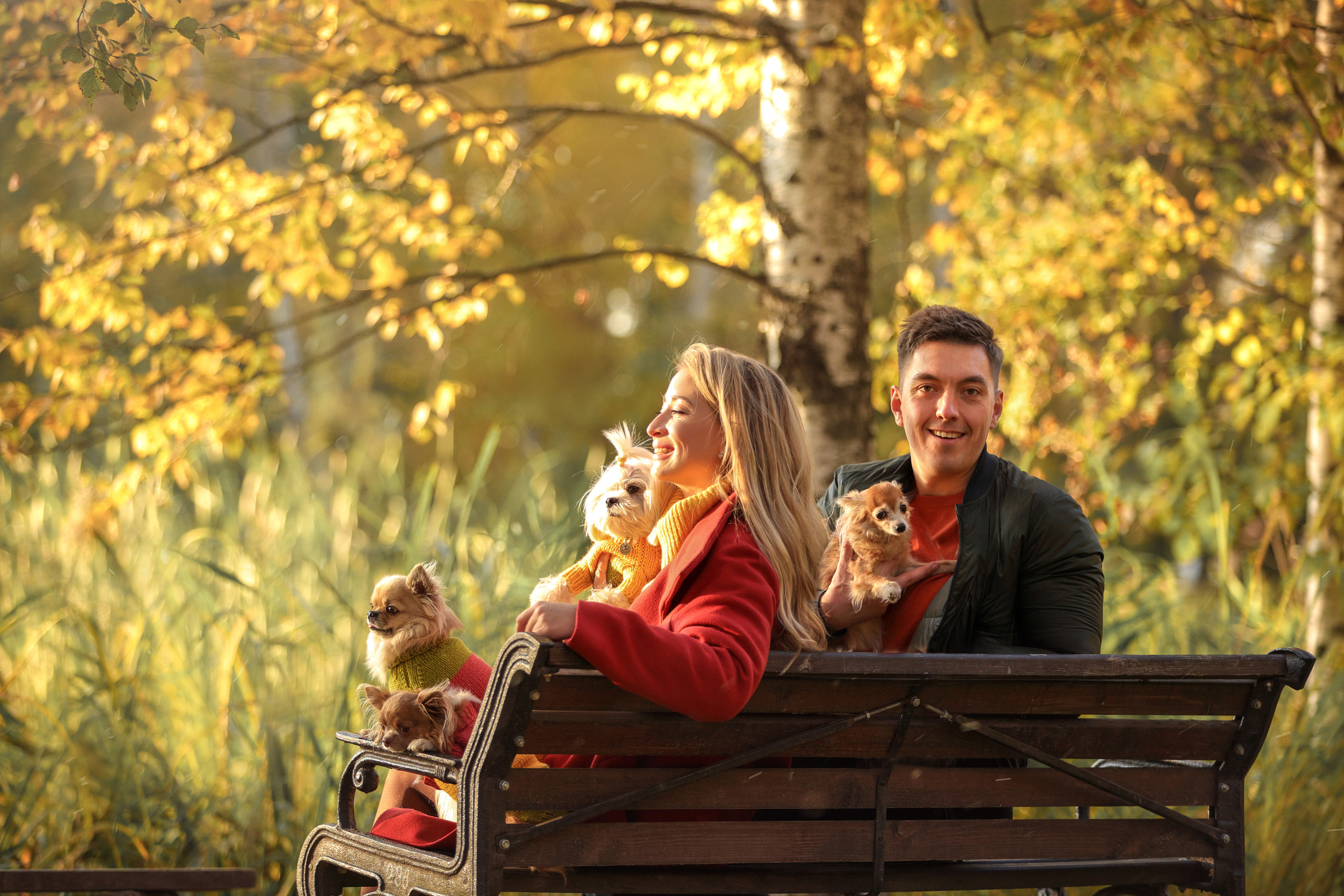 Портретные фотографии. Семейный фотограф-анималист Ирина Андреева