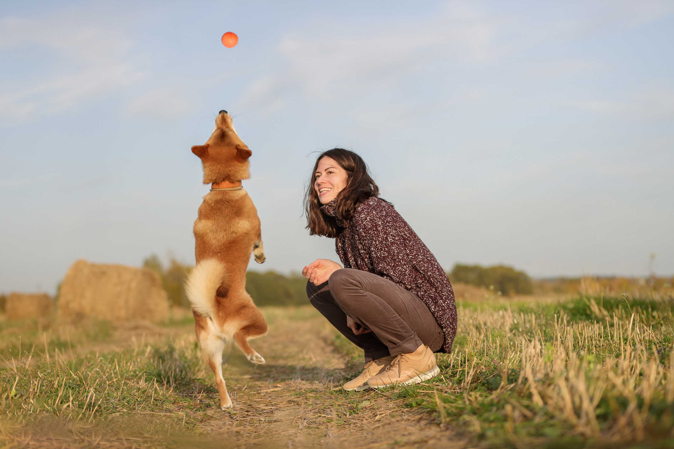 Фотографии в движении. Семейный фотограф-анималист Ирина Андреева