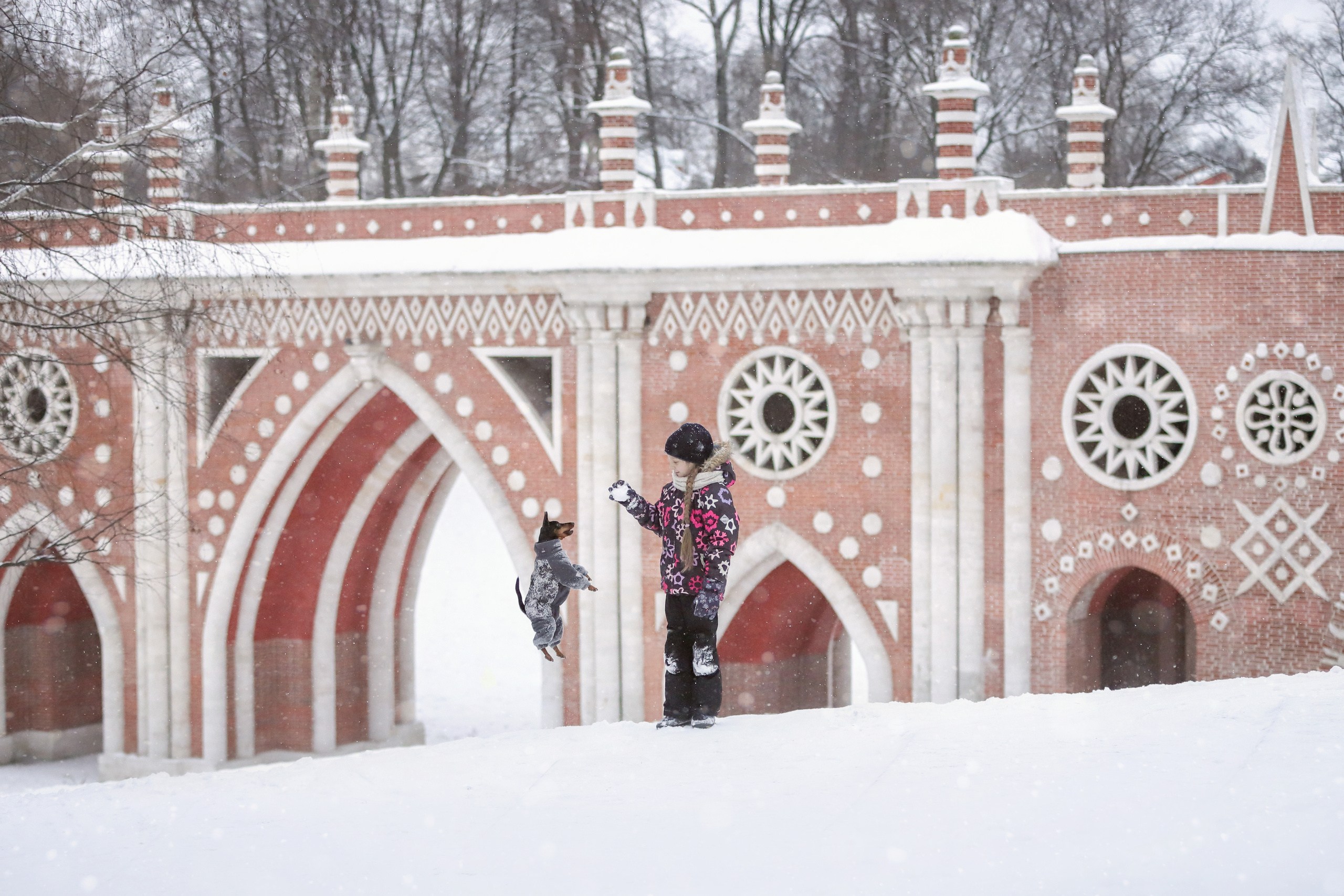 Фотографии в движении. Семейный фотограф-анималист Ирина Андреева