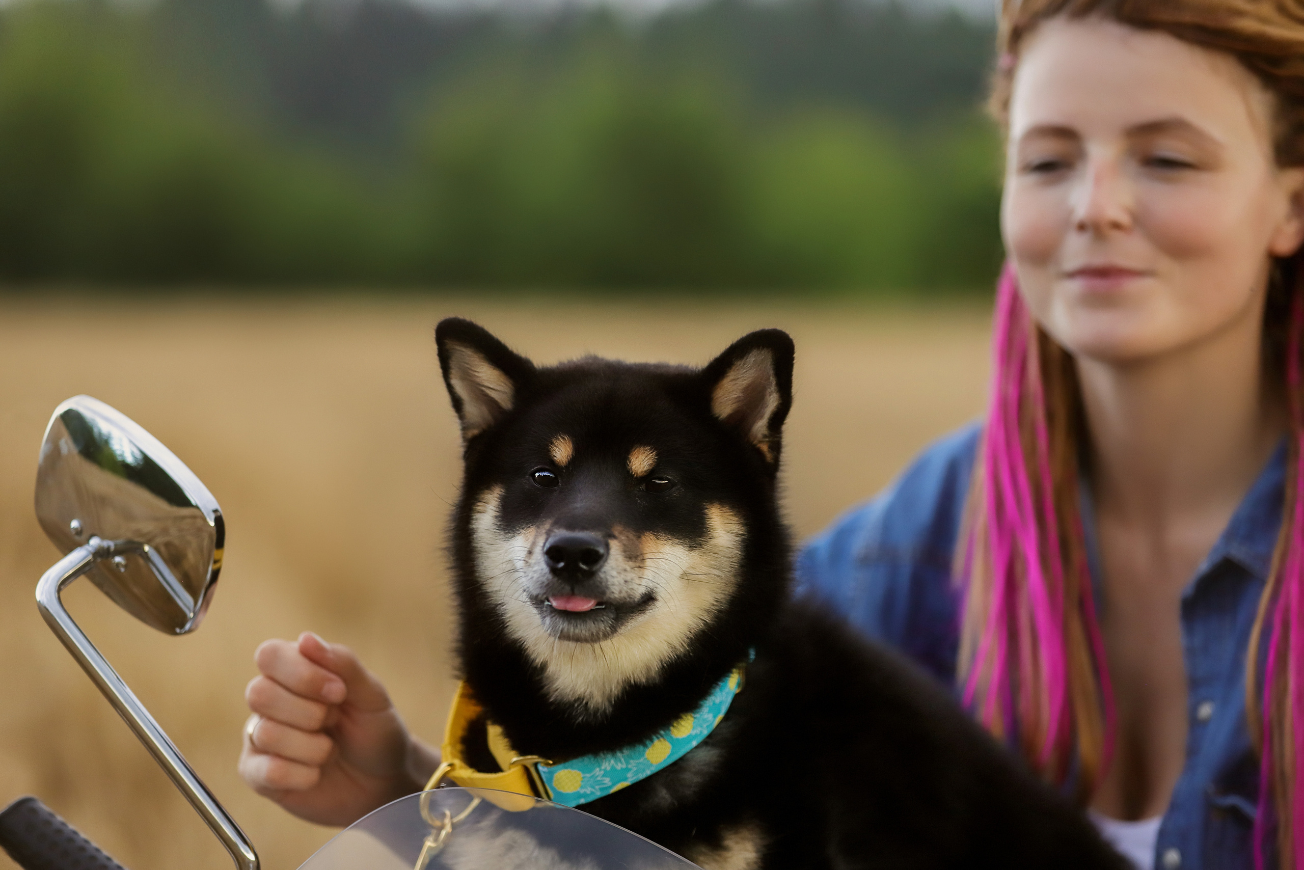 Портретные фотографии. Семейный фотограф-анималист Ирина Андреева