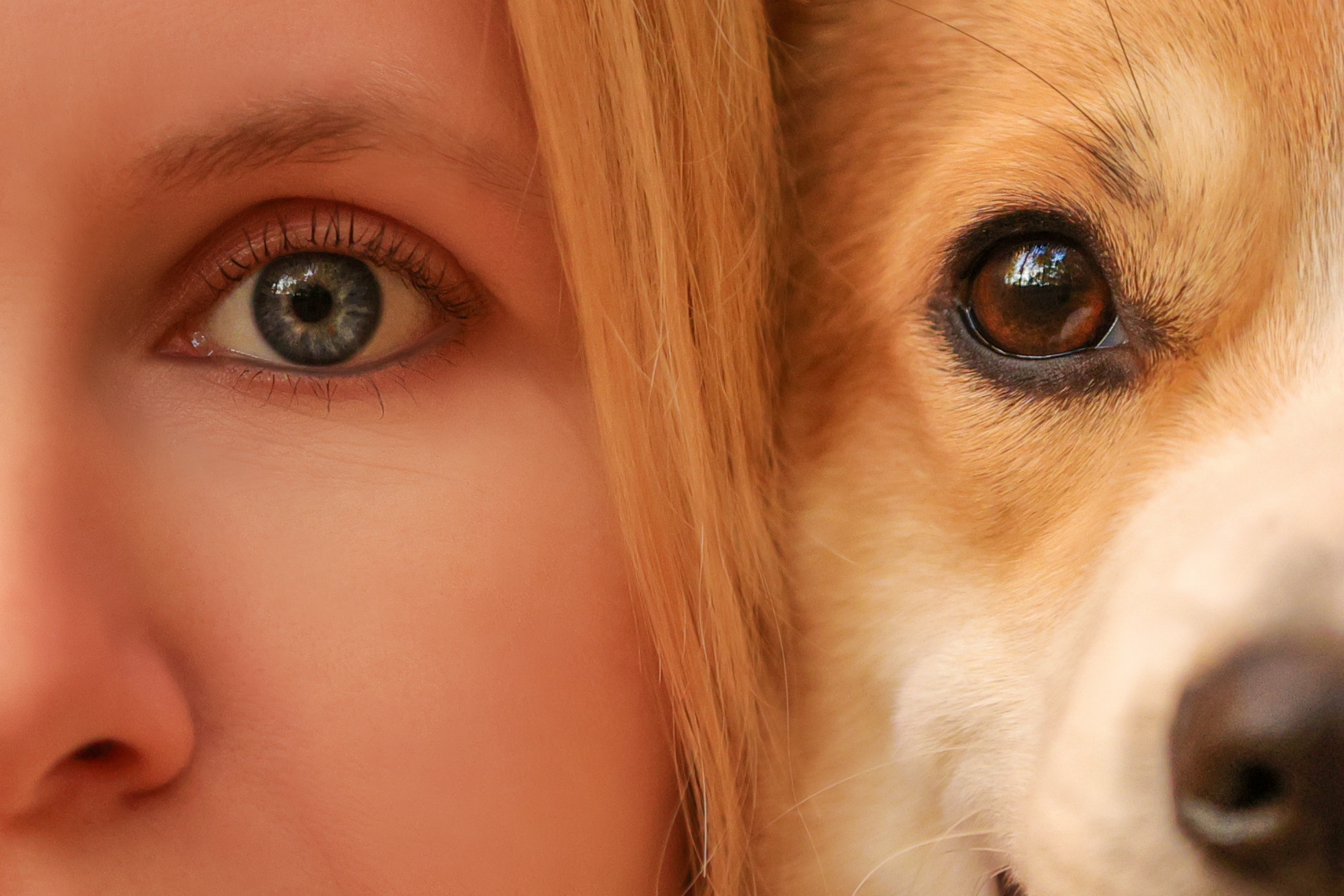 С глазу на глаз. Семейный фотограф-анималист Ирина Андреева