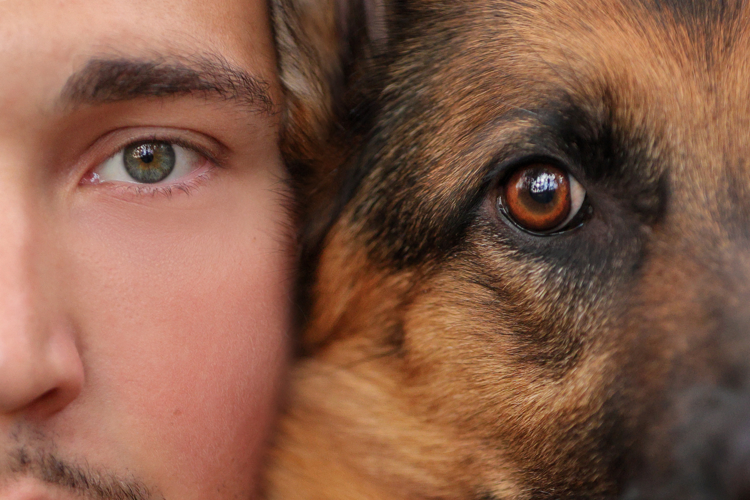 С глазу на глаз. Семейный фотограф-анималист Ирина Андреева