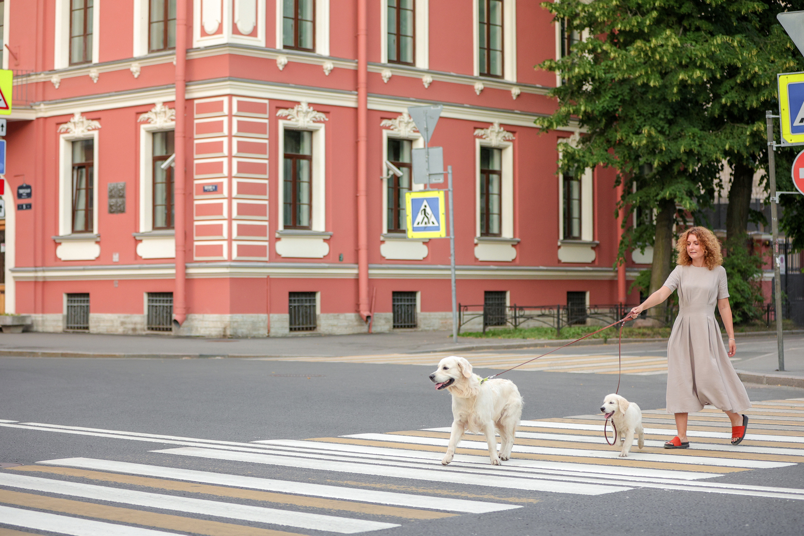 Фотографии в движении. Семейный фотограф-анималист Ирина Андреева