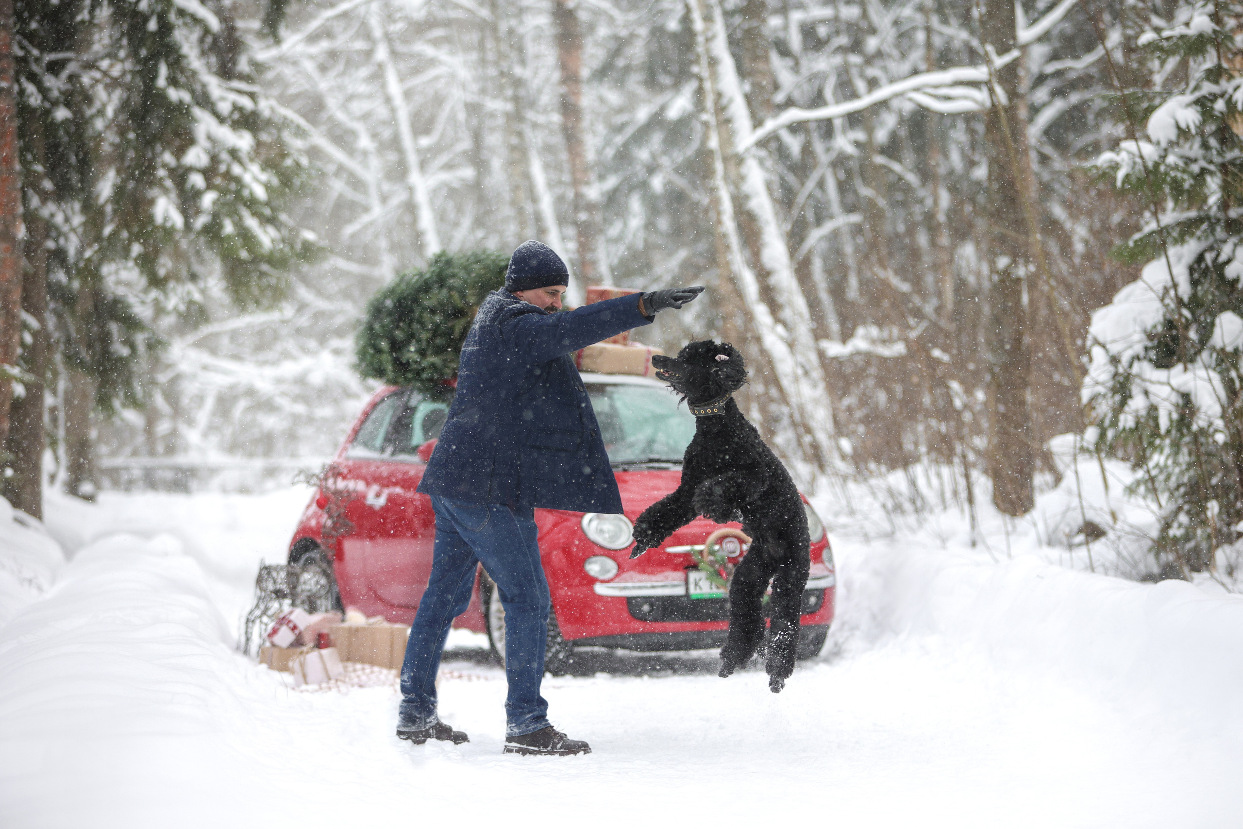 Фотографии в движении. Семейный фотограф-анималист Ирина Андреева