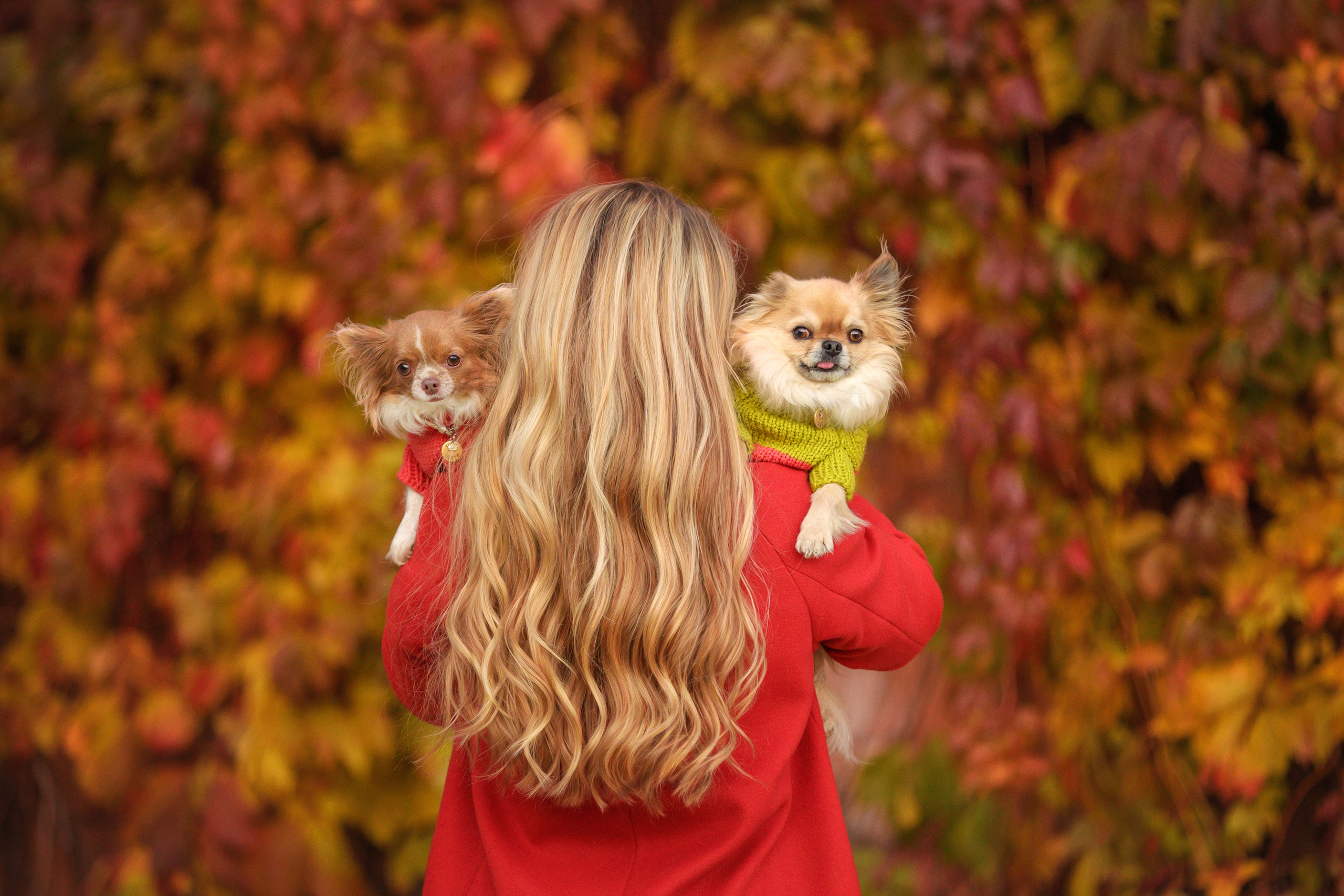 Портретные фотографии. Семейный фотограф-анималист Ирина Андреева