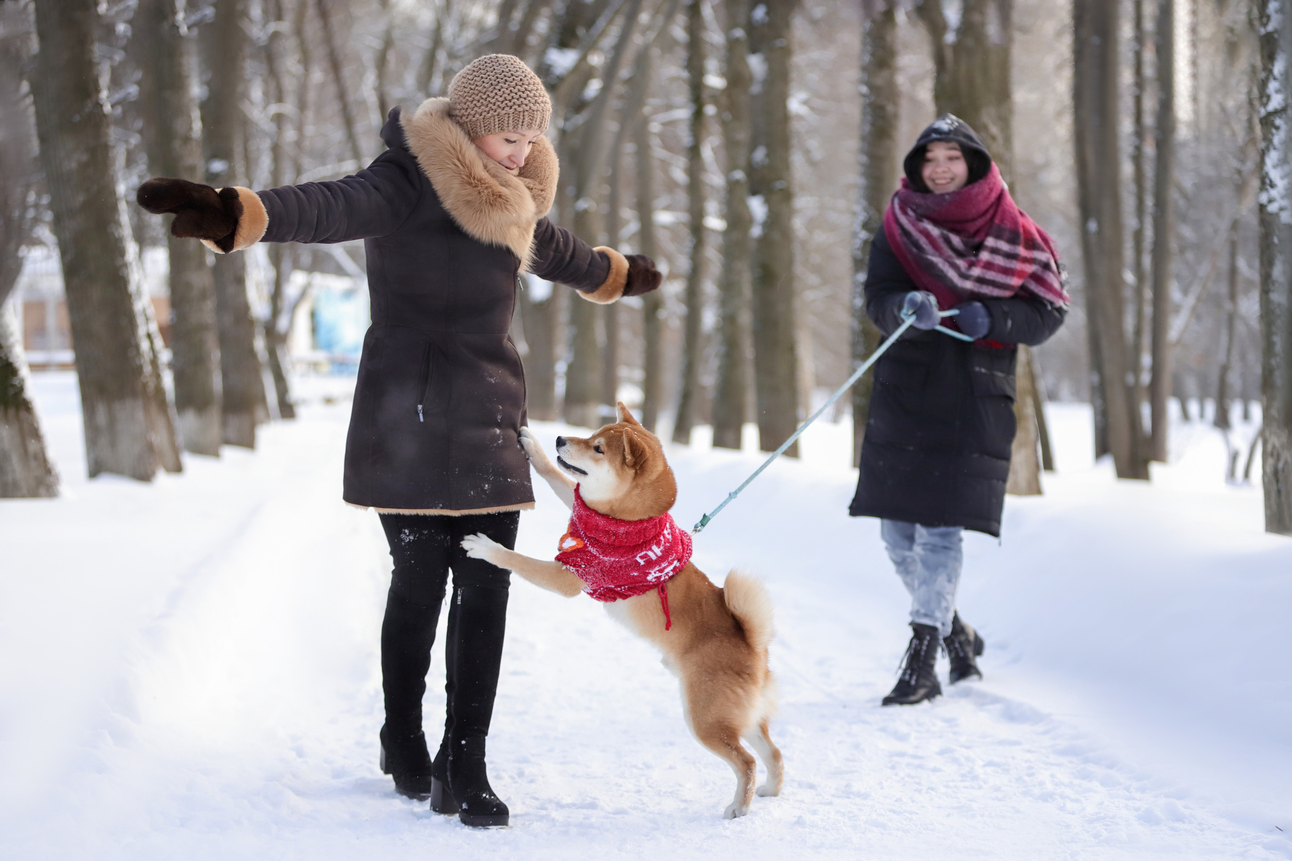 Фотографии в движении. Семейный фотограф-анималист Ирина Андреева