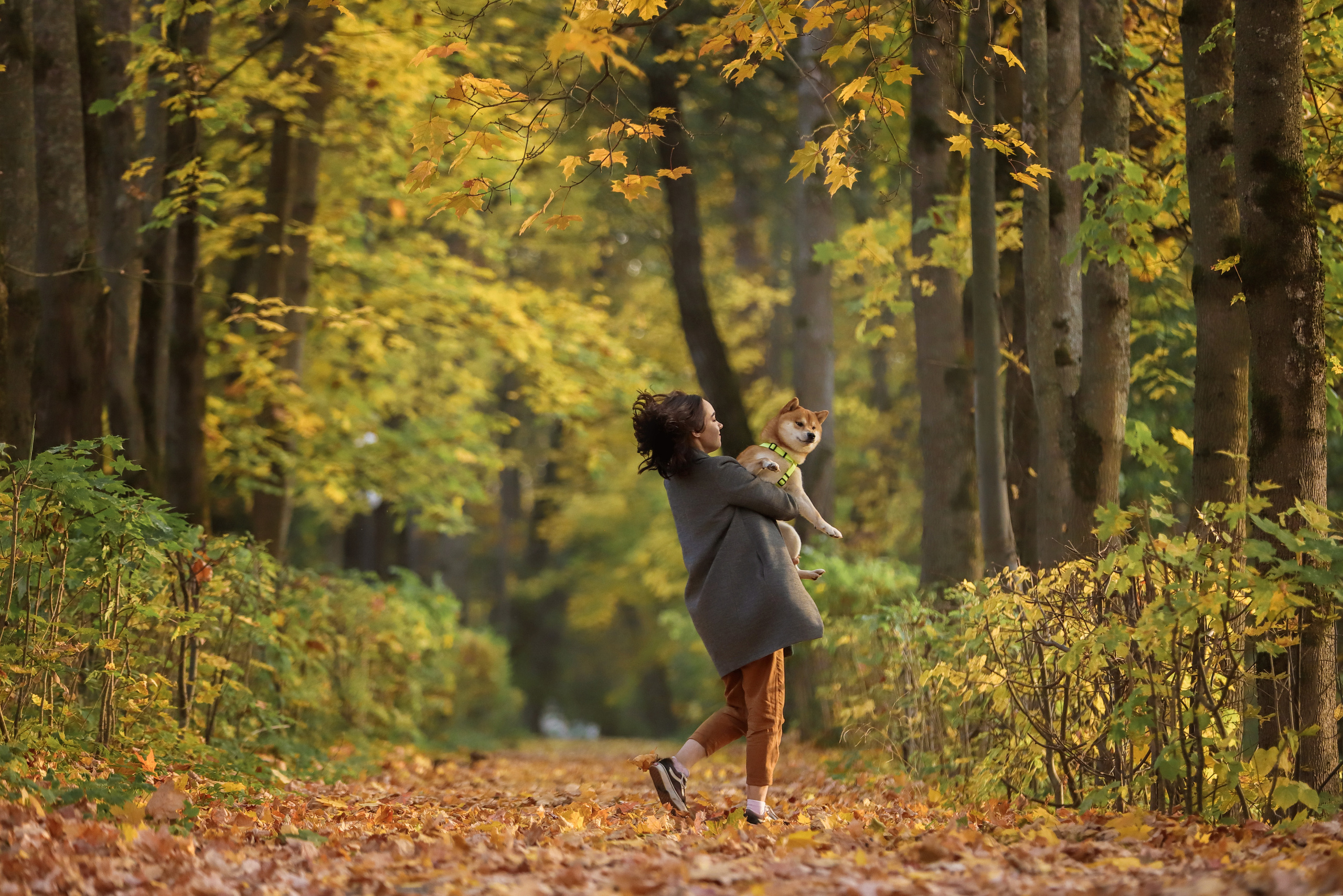 Фотографии в движении. Семейный фотограф-анималист Ирина Андреева