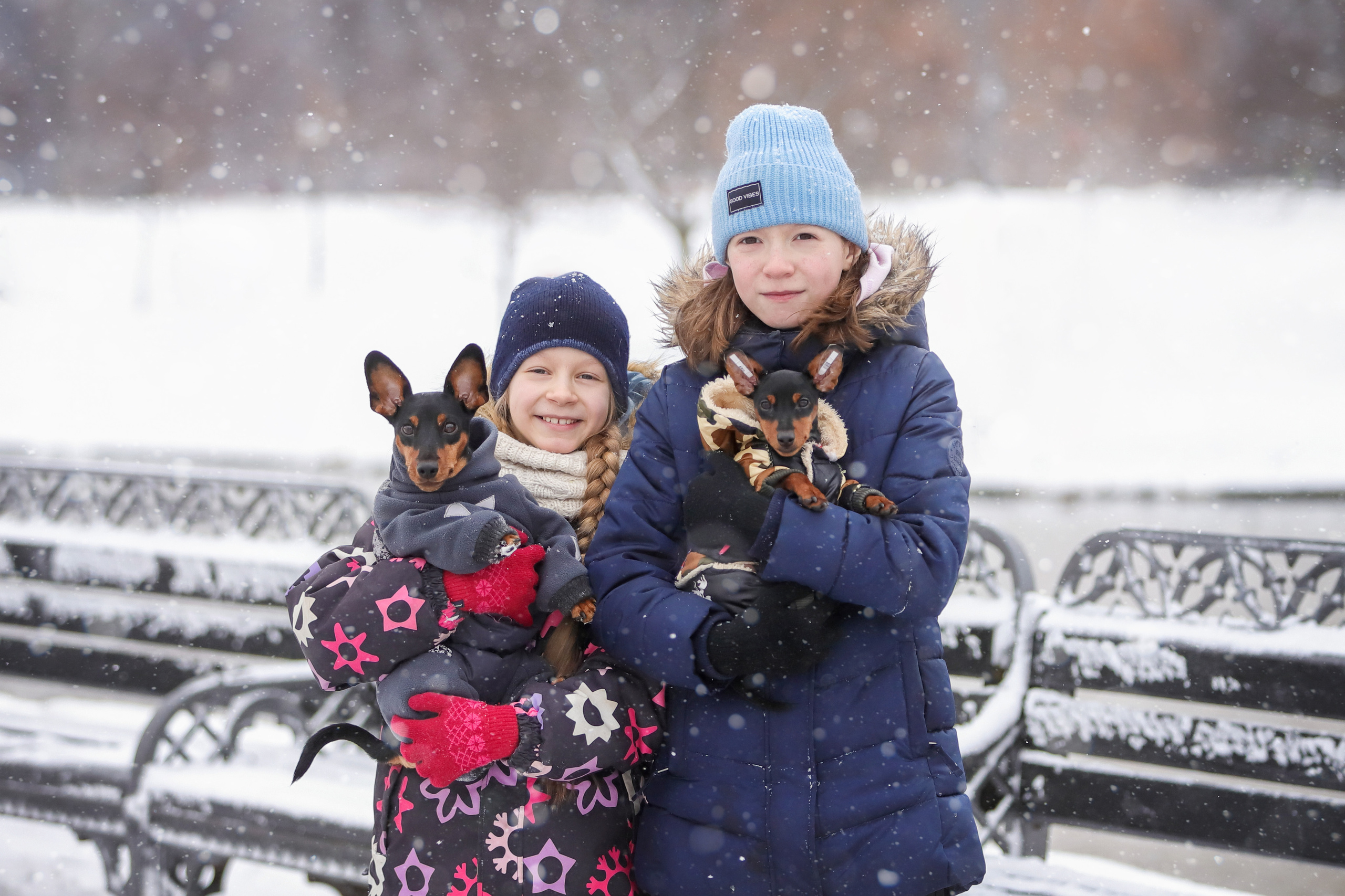 Портретные фотографии. Семейный фотограф-анималист Ирина Андреева