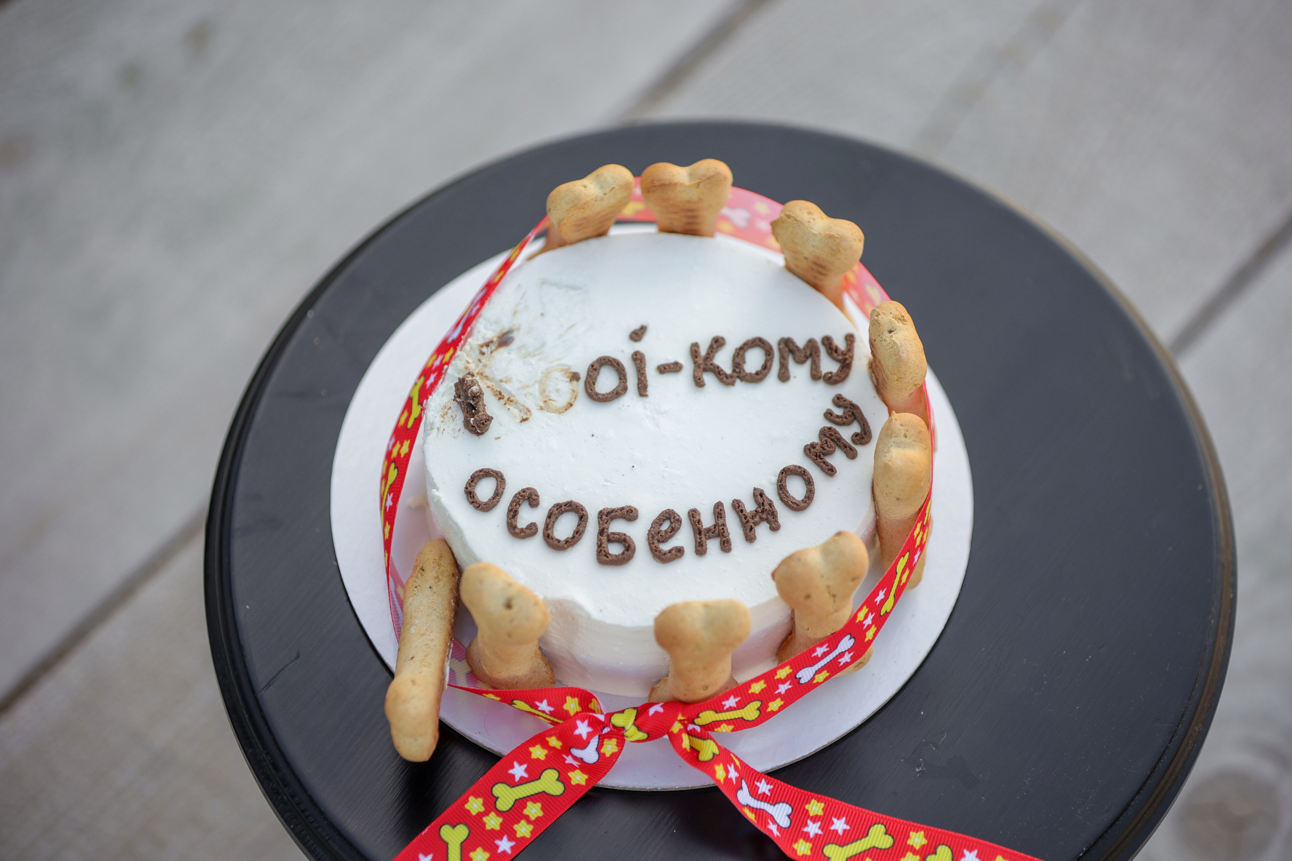 История Наташи Мельница. Семейный фотограф-анималист Ирина Андреева