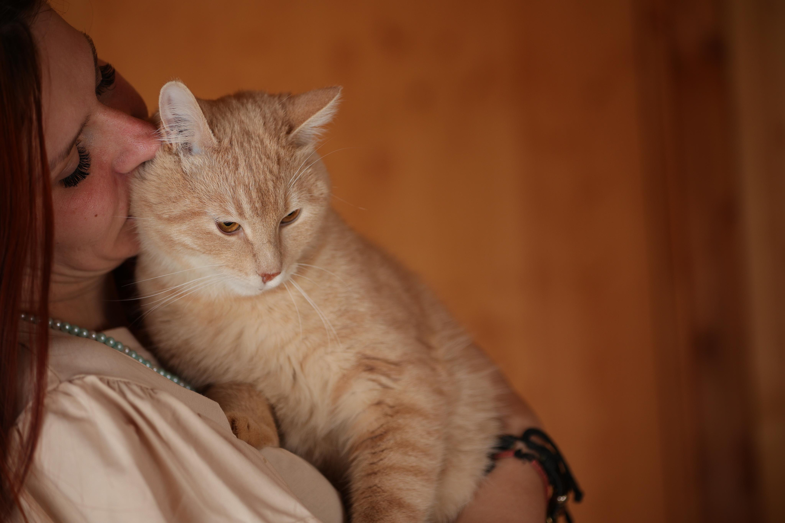 История Елены 1. Семейный фотограф-анималист Ирина Андреева