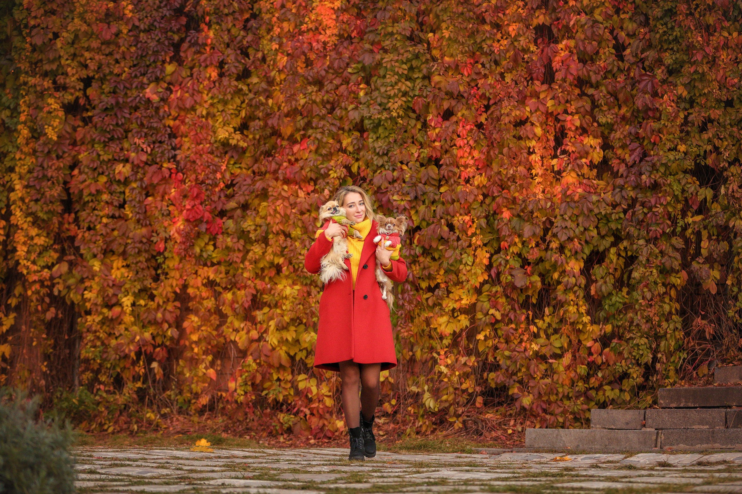 Портретные фотографии. Семейный фотограф-анималист Ирина Андреева