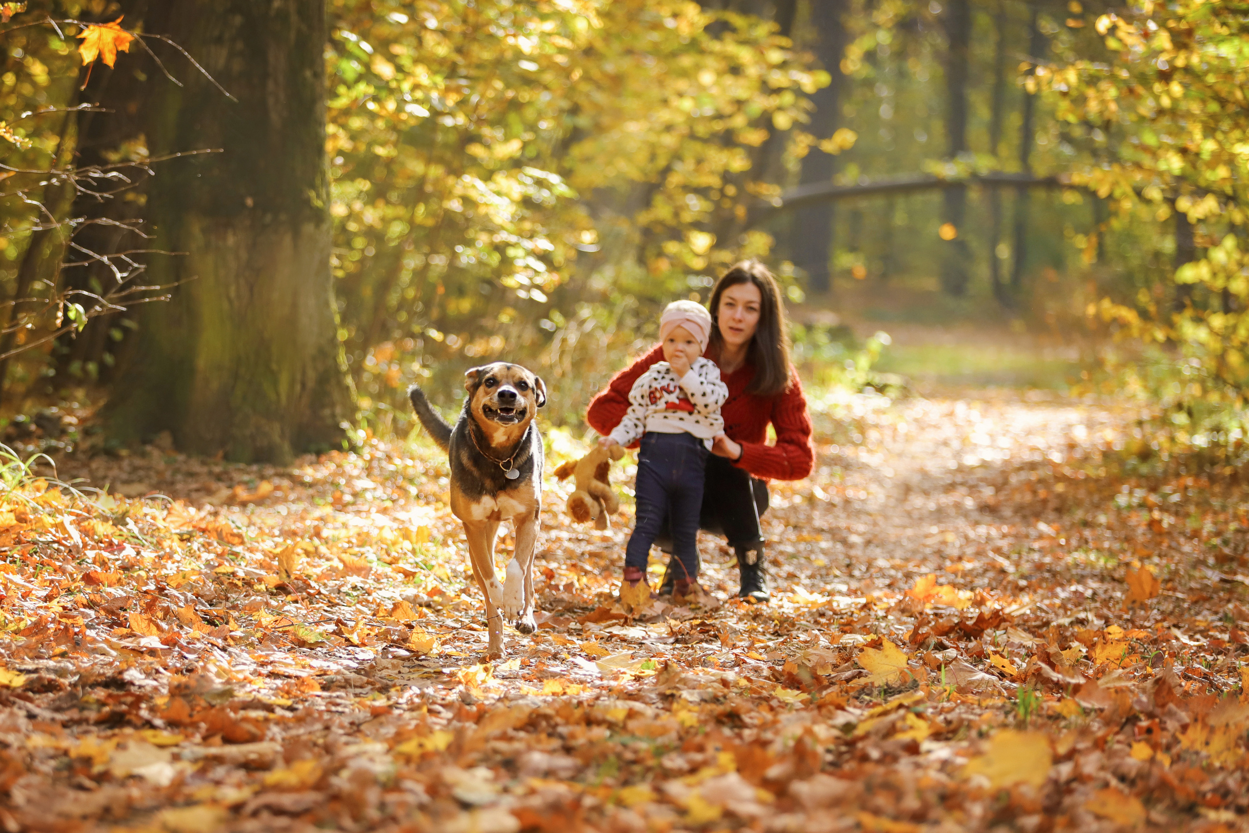 Фотографии в движении. Семейный фотограф-анималист Ирина Андреева