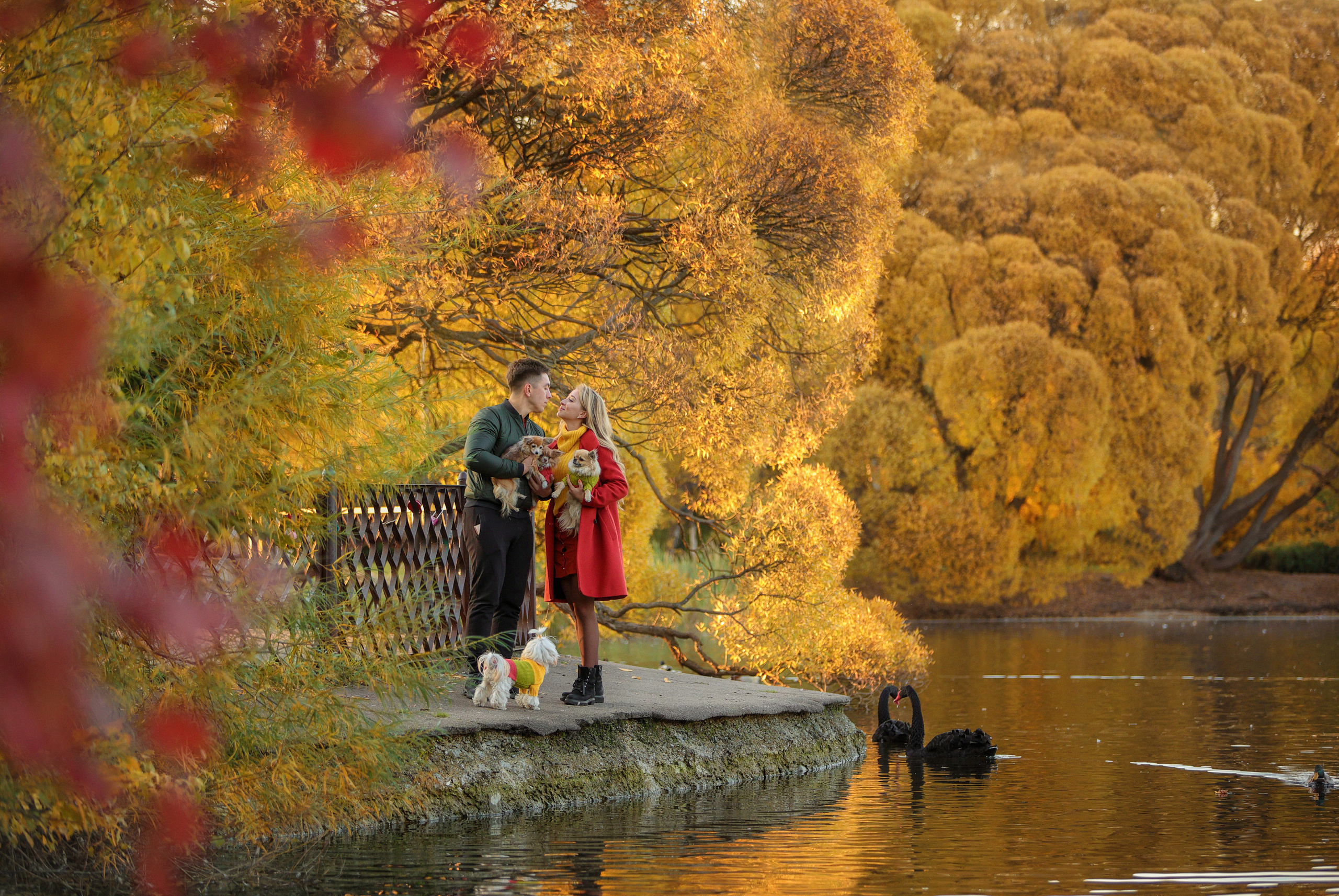 Портретные фотографии. Семейный фотограф-анималист Ирина Андреева