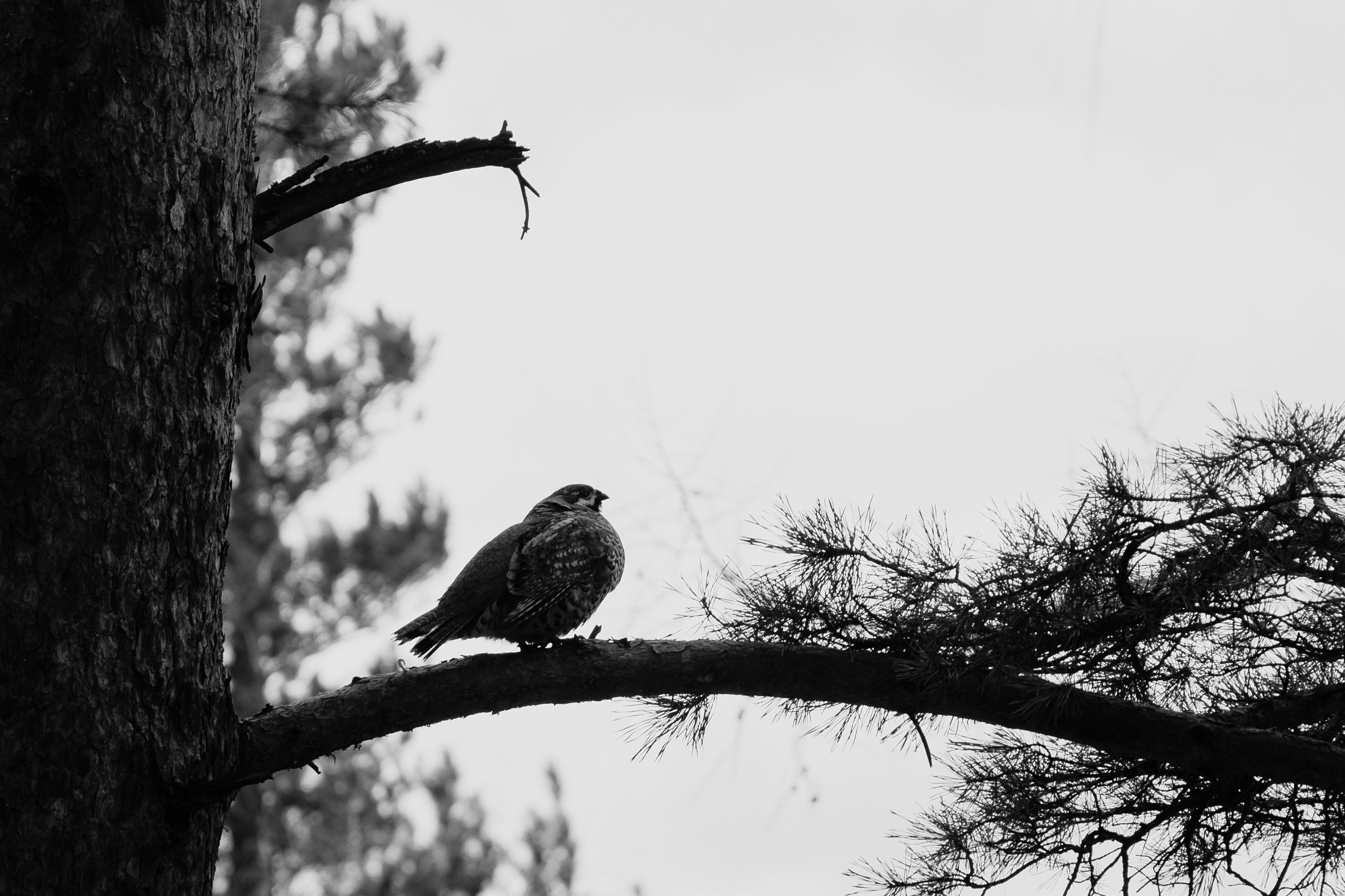Красноярск. Портретный и уличный фотограф в Москве Таня Корнеева