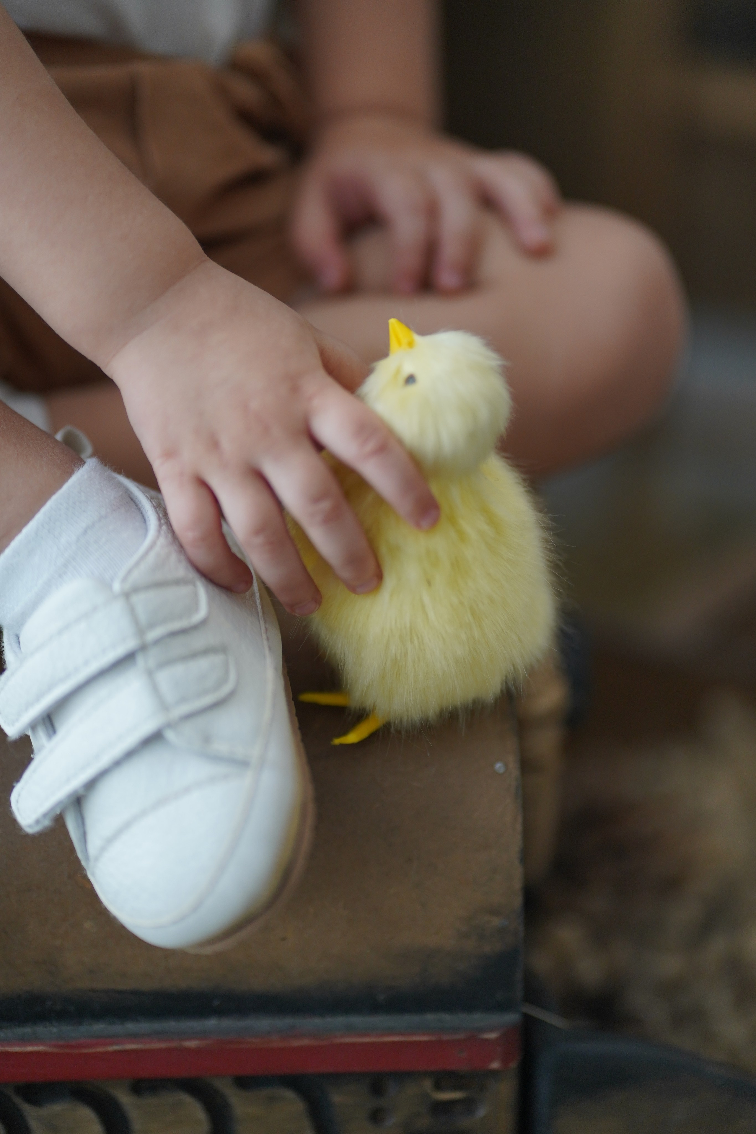 HB. Фотограф в Москве и МО