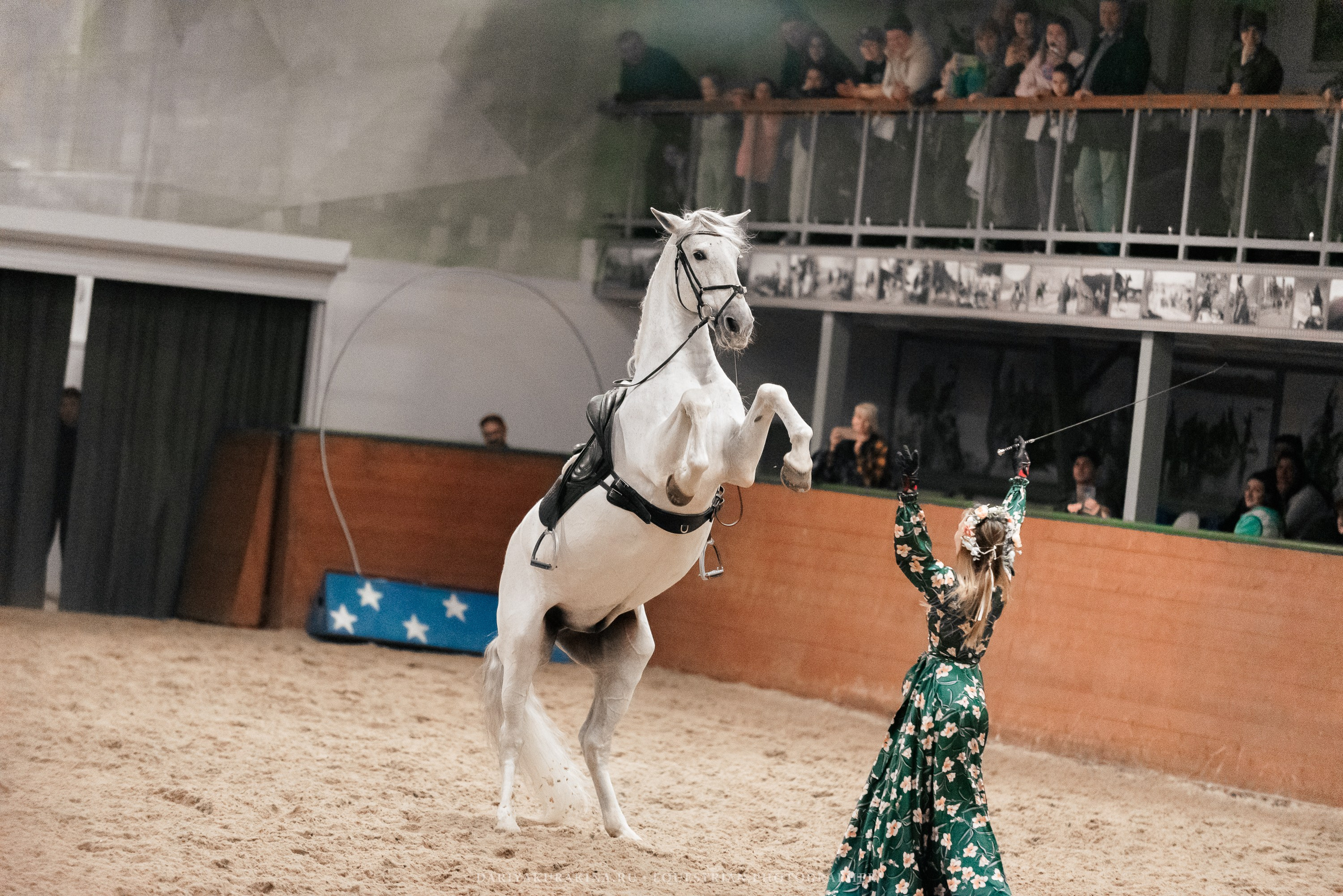 Конное представление «Дыхание Звёзд». Конный фотограф Куракина Дарья • Фотосессии с лошадьми